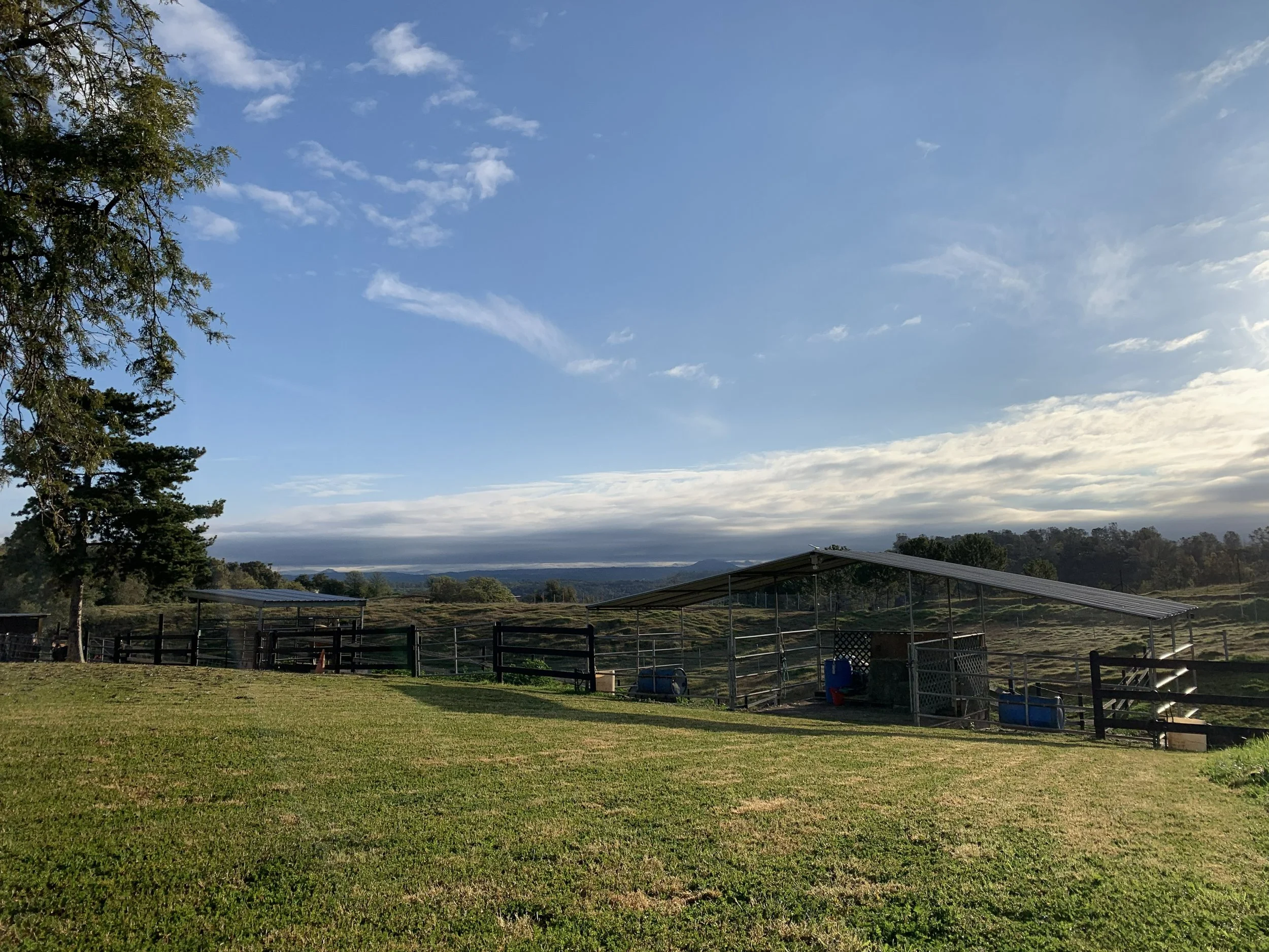 A scenic rural landscape with a large open grassy field, scattered trees on the left, a chicken or farm pen with fencing and shelters, a distant view of hills or mountains, and a partly cloudy sky.