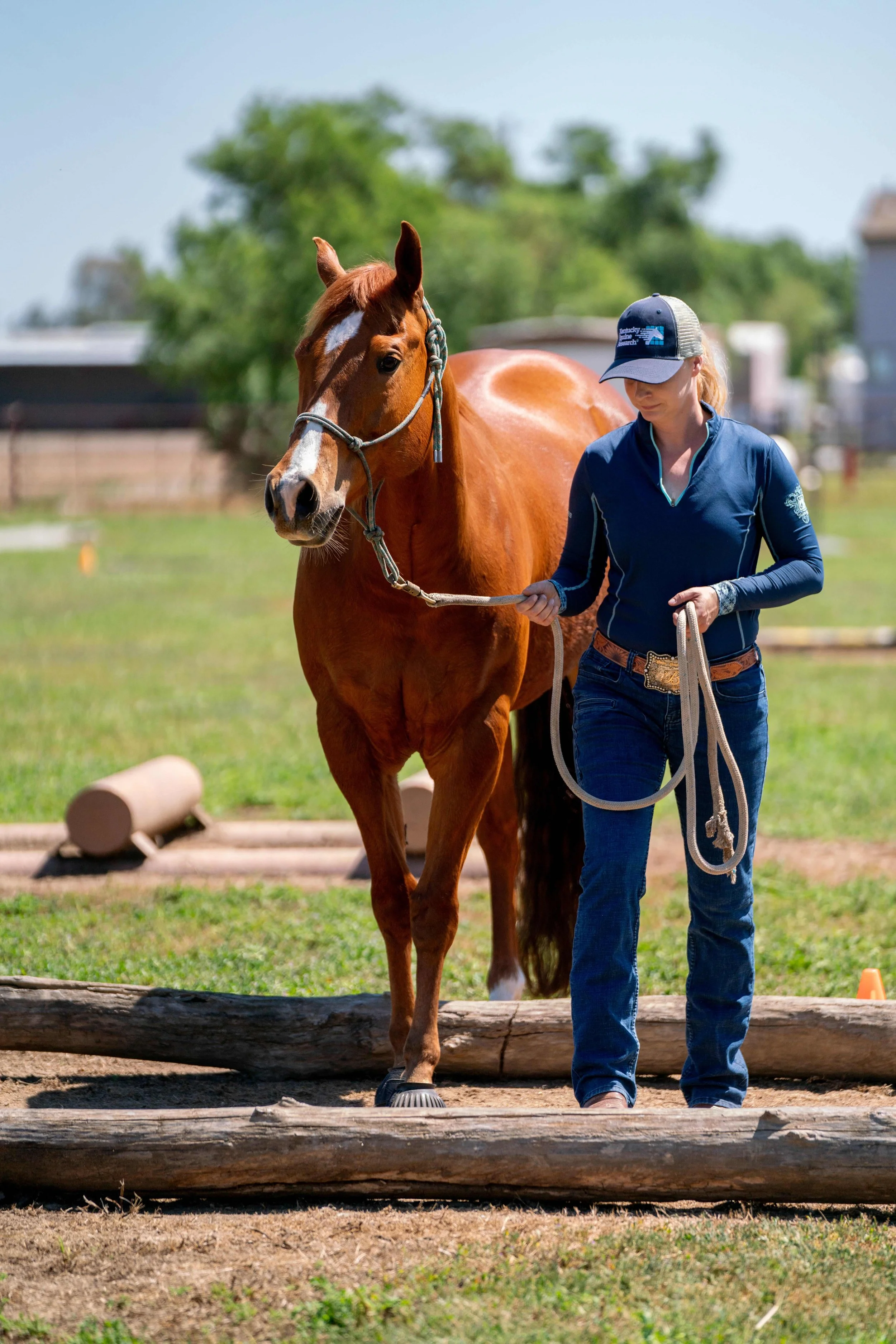 A woman walking a chestnut horse on a lead rope at an outdoor training area, with logs and cones visible around.