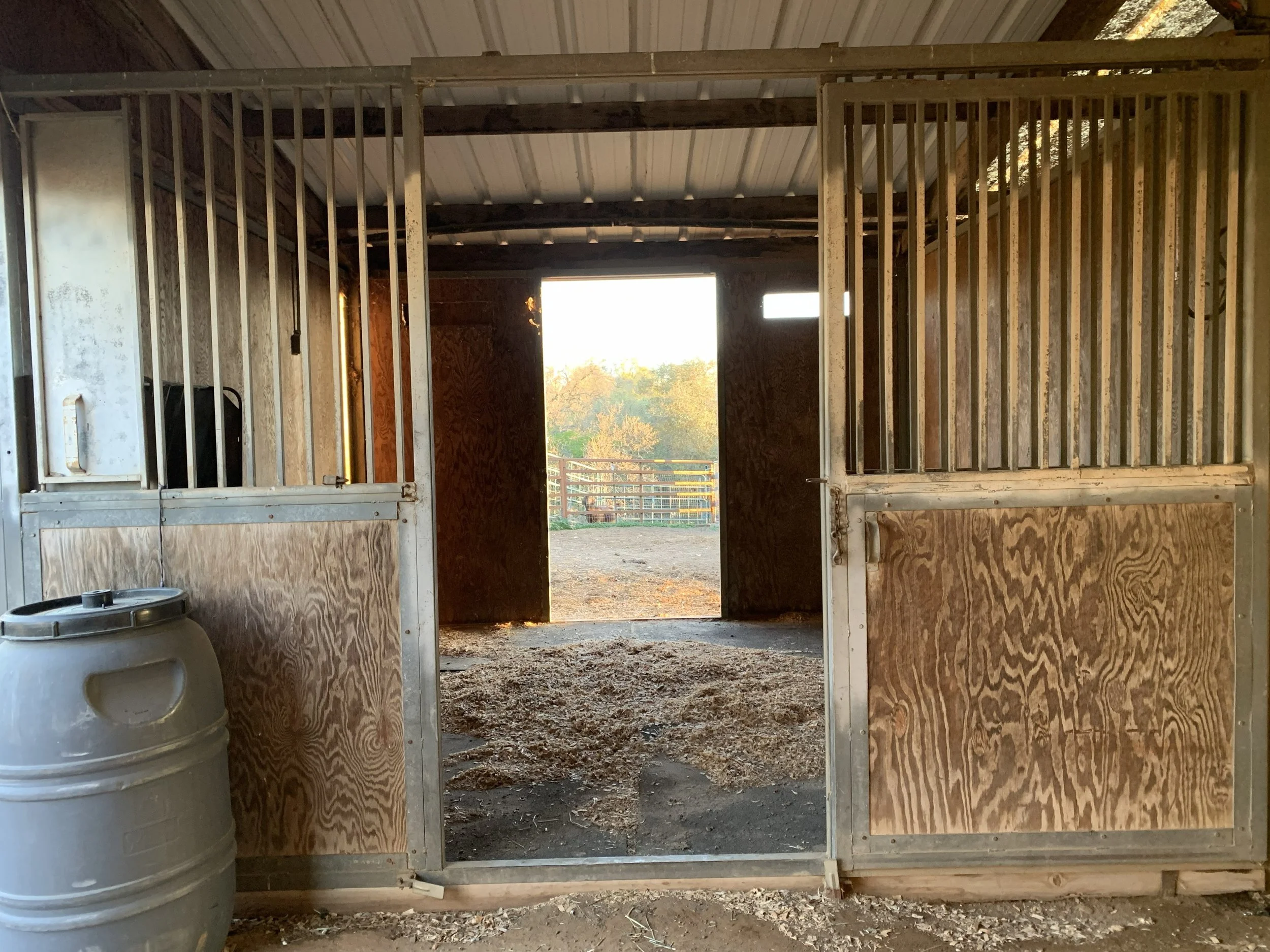 Interior of a barn under construction with exposed wooden framing and a metal roof, open doorway with outdoor view, and a metal barrel to the left.