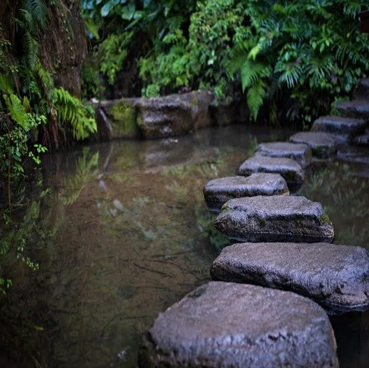 Stone pathway crossing a small, shallow stream in a lush, green garden.