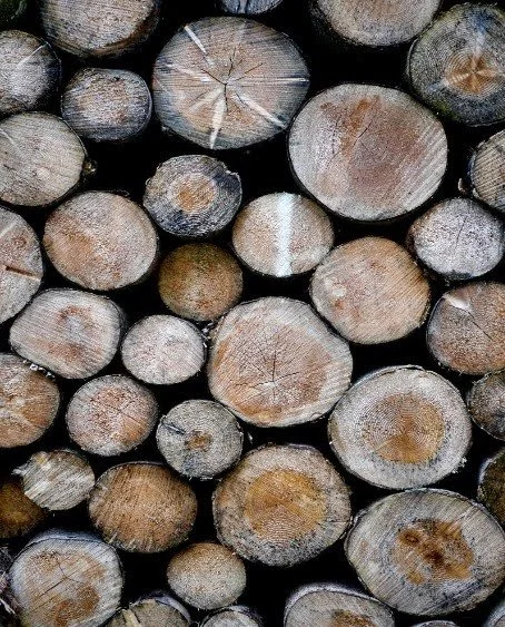 Stacked logs with visible cut ends and textured bark.