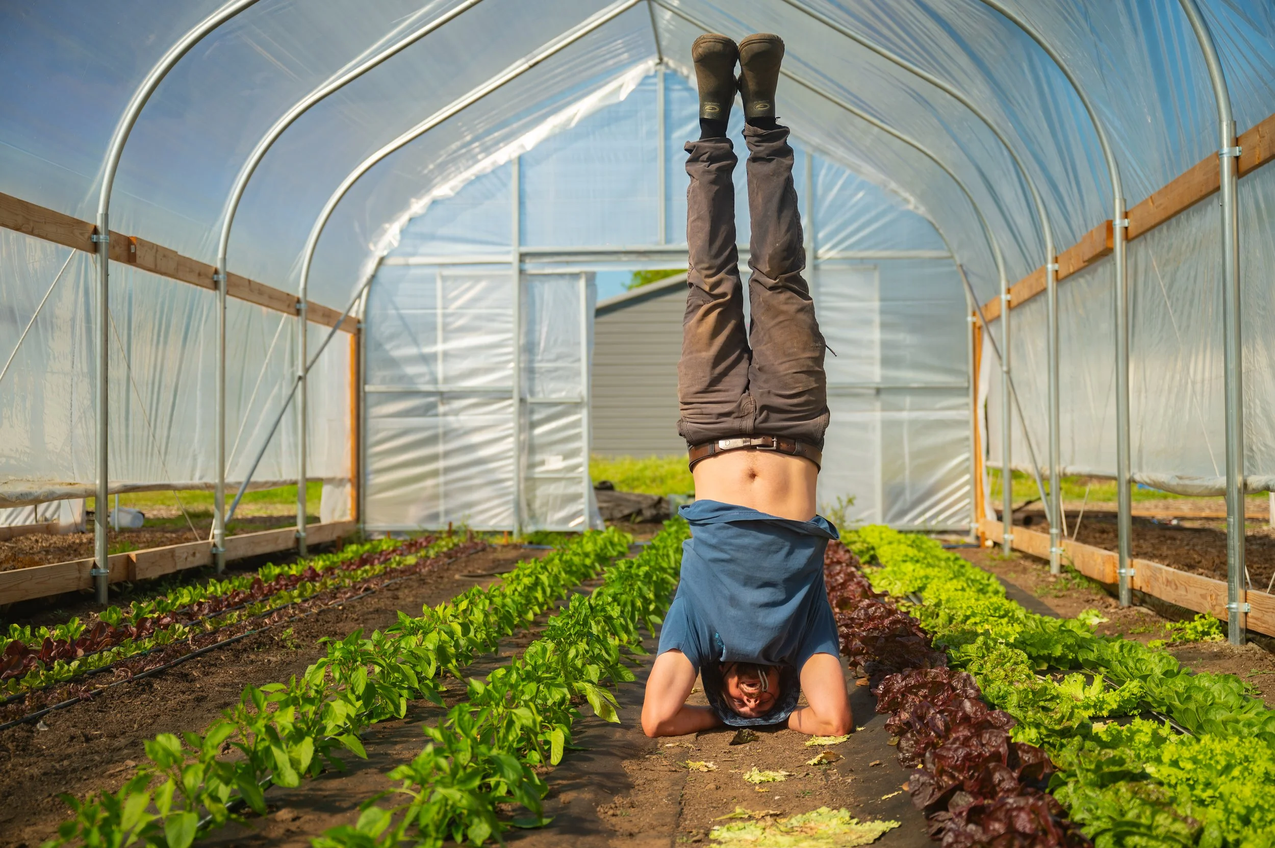 CGF_Tomato_Planting_040526-16.jpg