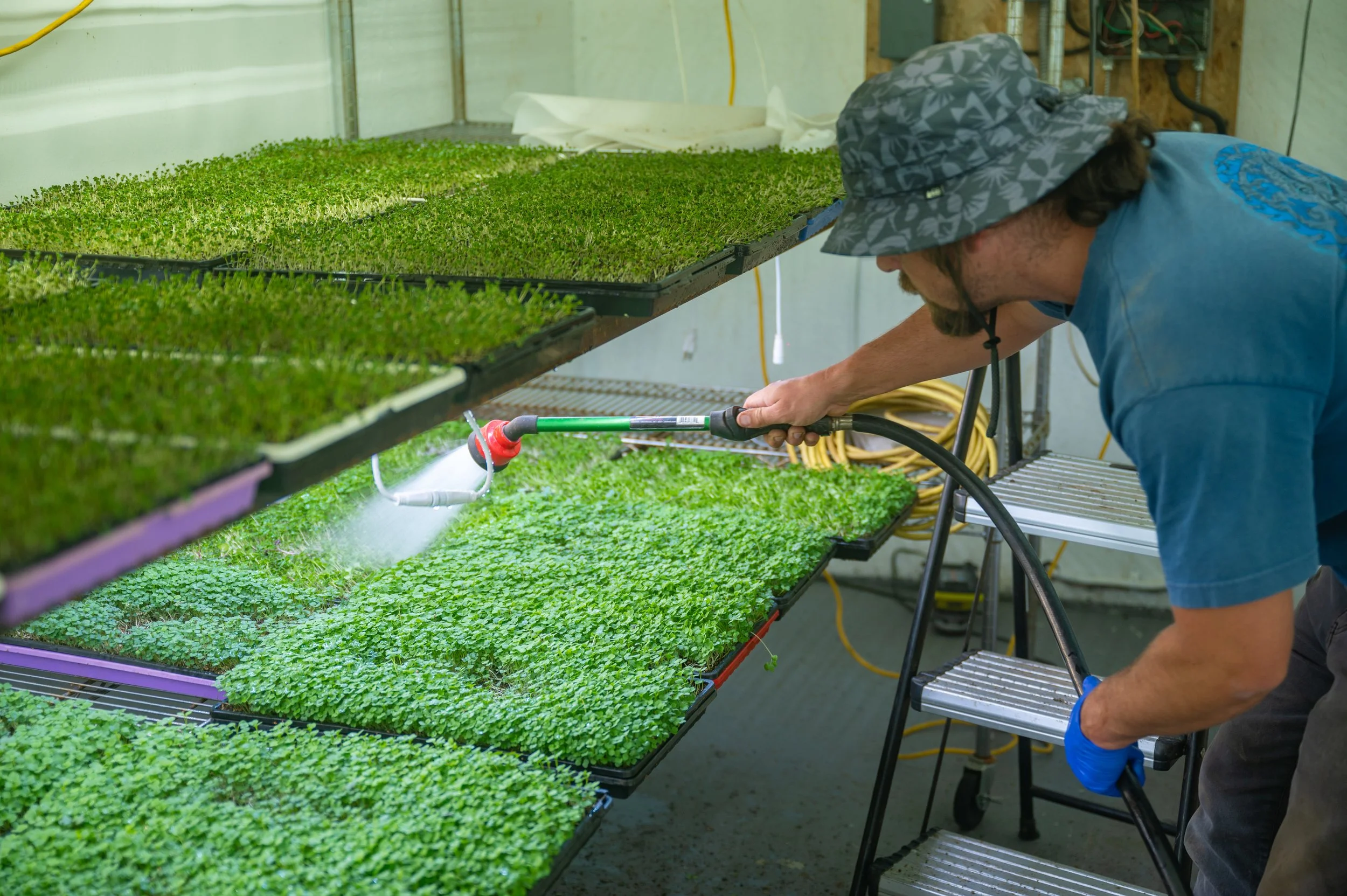 CGF_Tomato_Planting_040526-01.jpg
