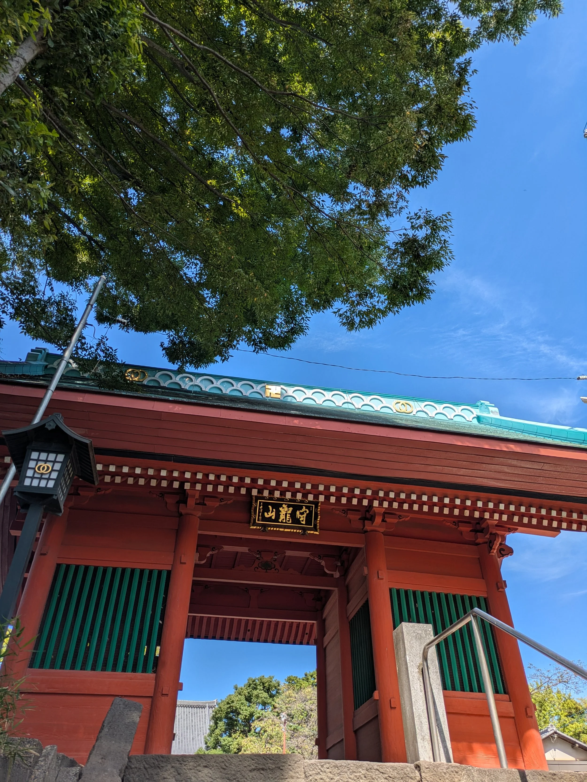 東福寺の木々に囲まれた朱色の山門