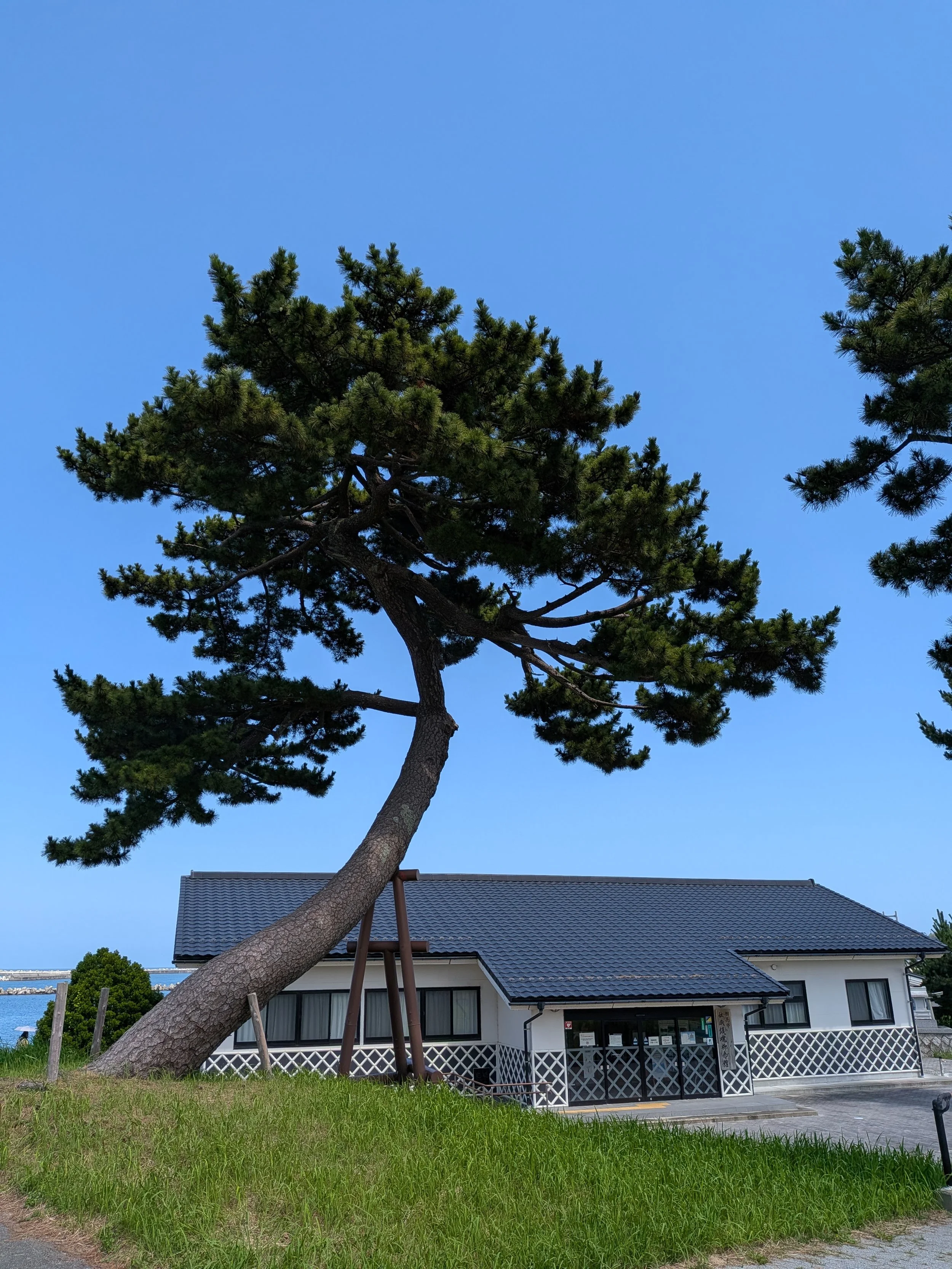 相馬市伝承鎮魂祈念館の外観