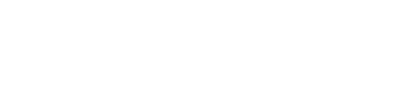 The logo of RedZed, a financial services company, shown in black and white with stylized text.