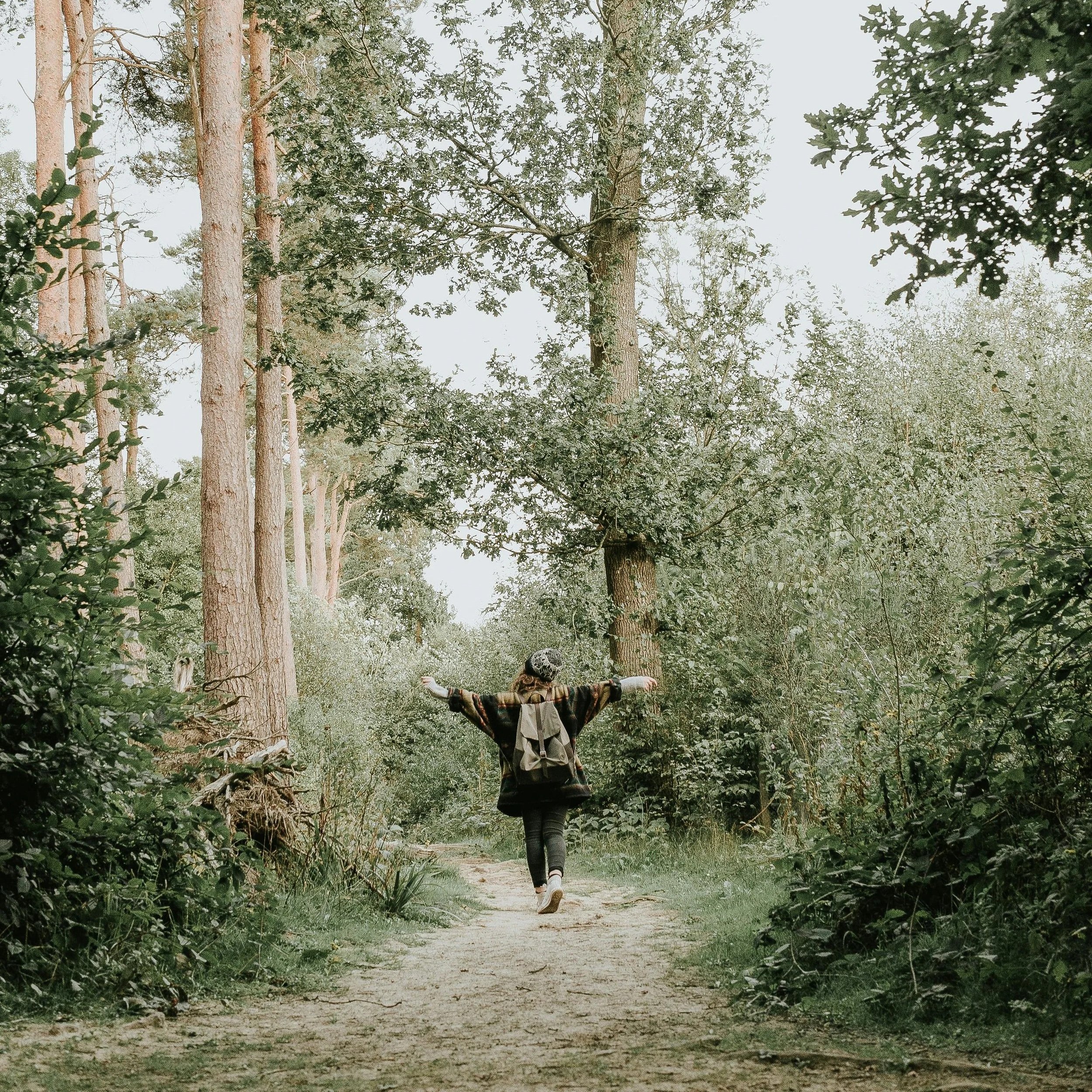 A person walking on a narrow dirt trail through a forest with tall pine trees and green foliage, with arms outstretched and wearing casual outdoor clothing.