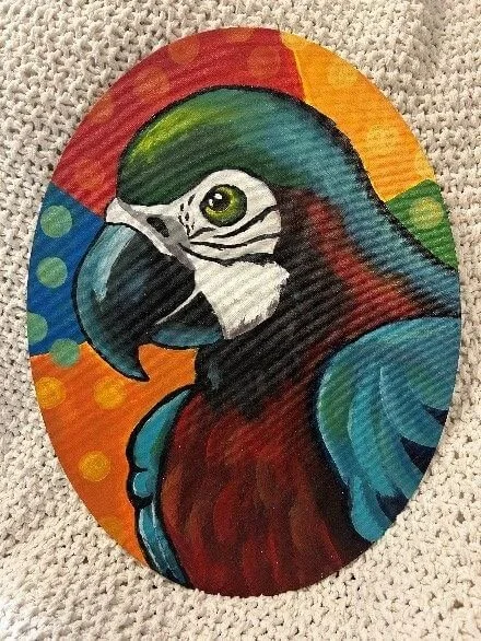 parrot.jpg
