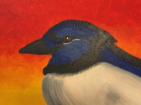 blue-bird.jpg
