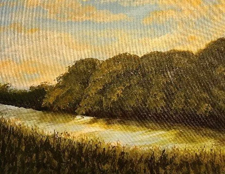 forest.jpg