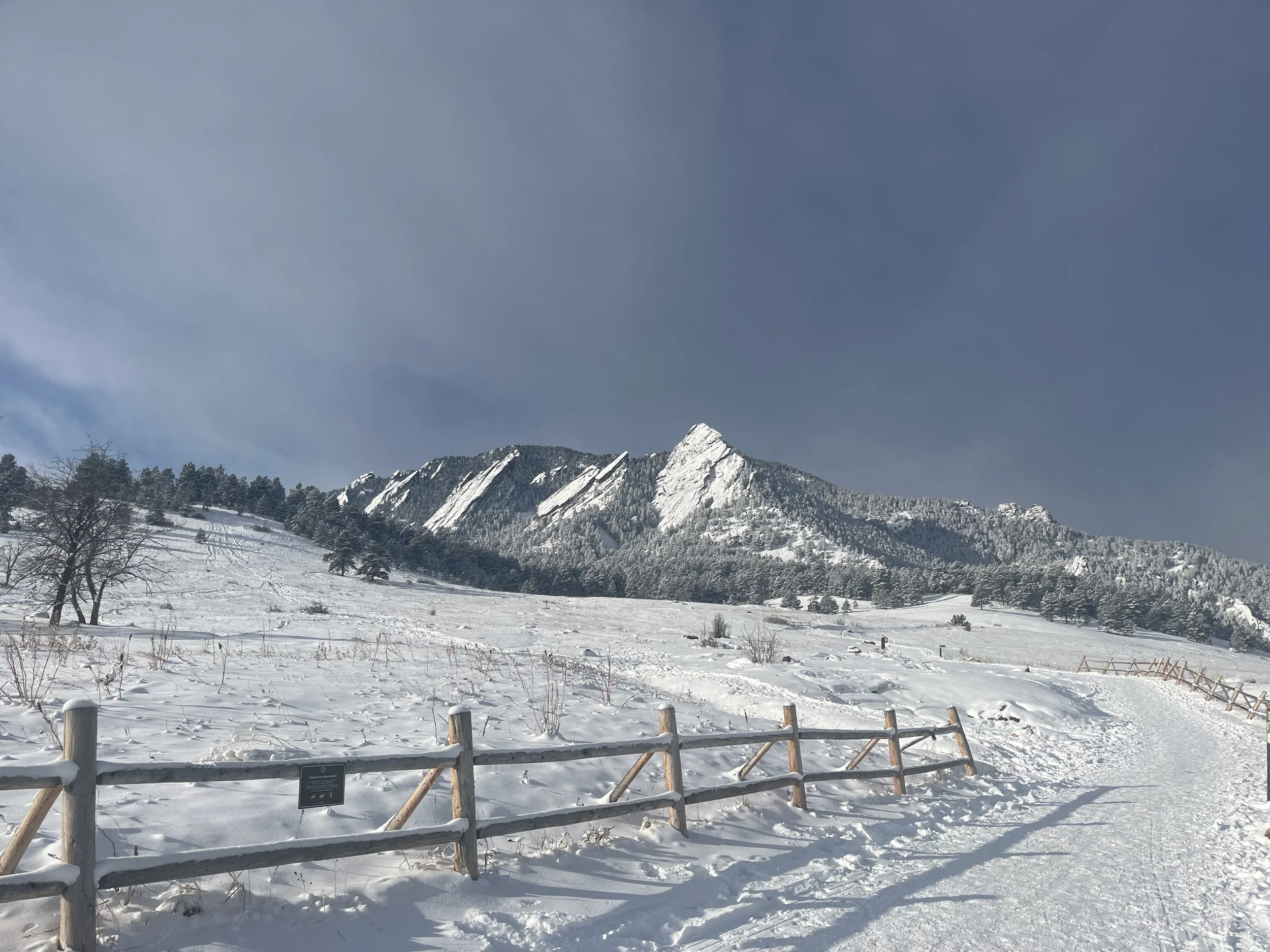 The Flatirons covered in snow in the background, trees in the foreground, and a wooden fence along the snow field.