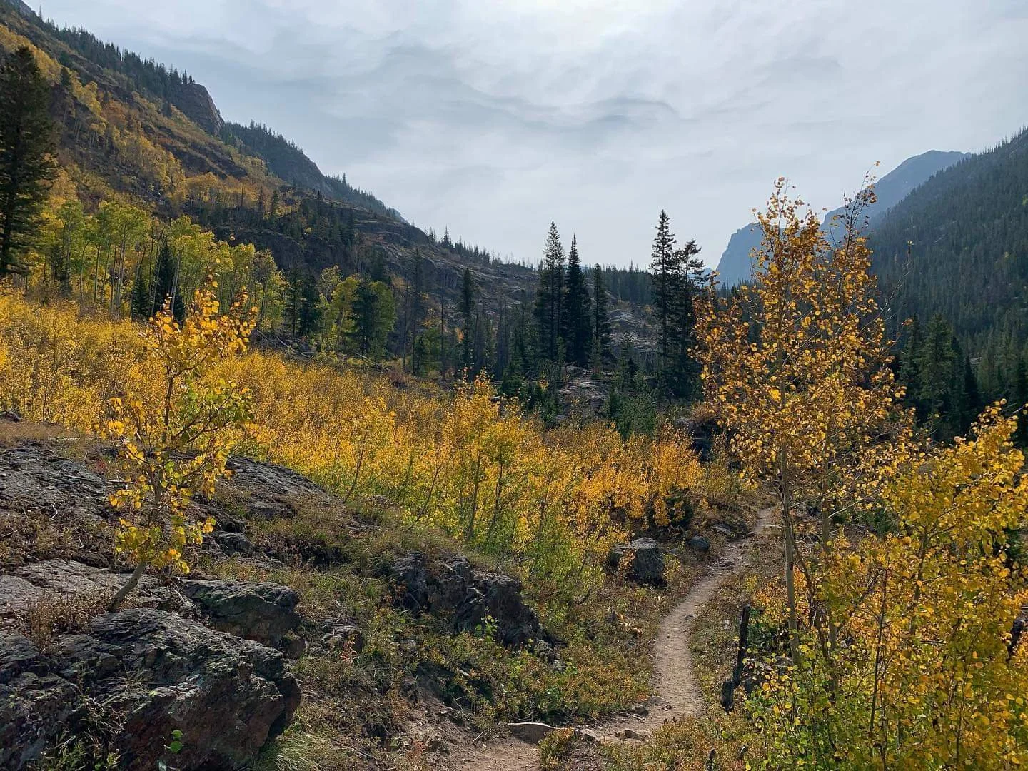 A mountain trail winding through a forest with trees in fall colors, rocky terrain, and mountains in the background.