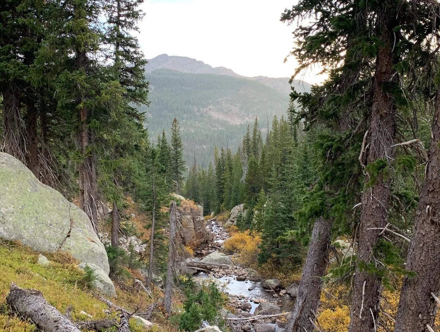 Preventative Acupuncture in Longmont, CO: How to Stay Healthy Year-Round