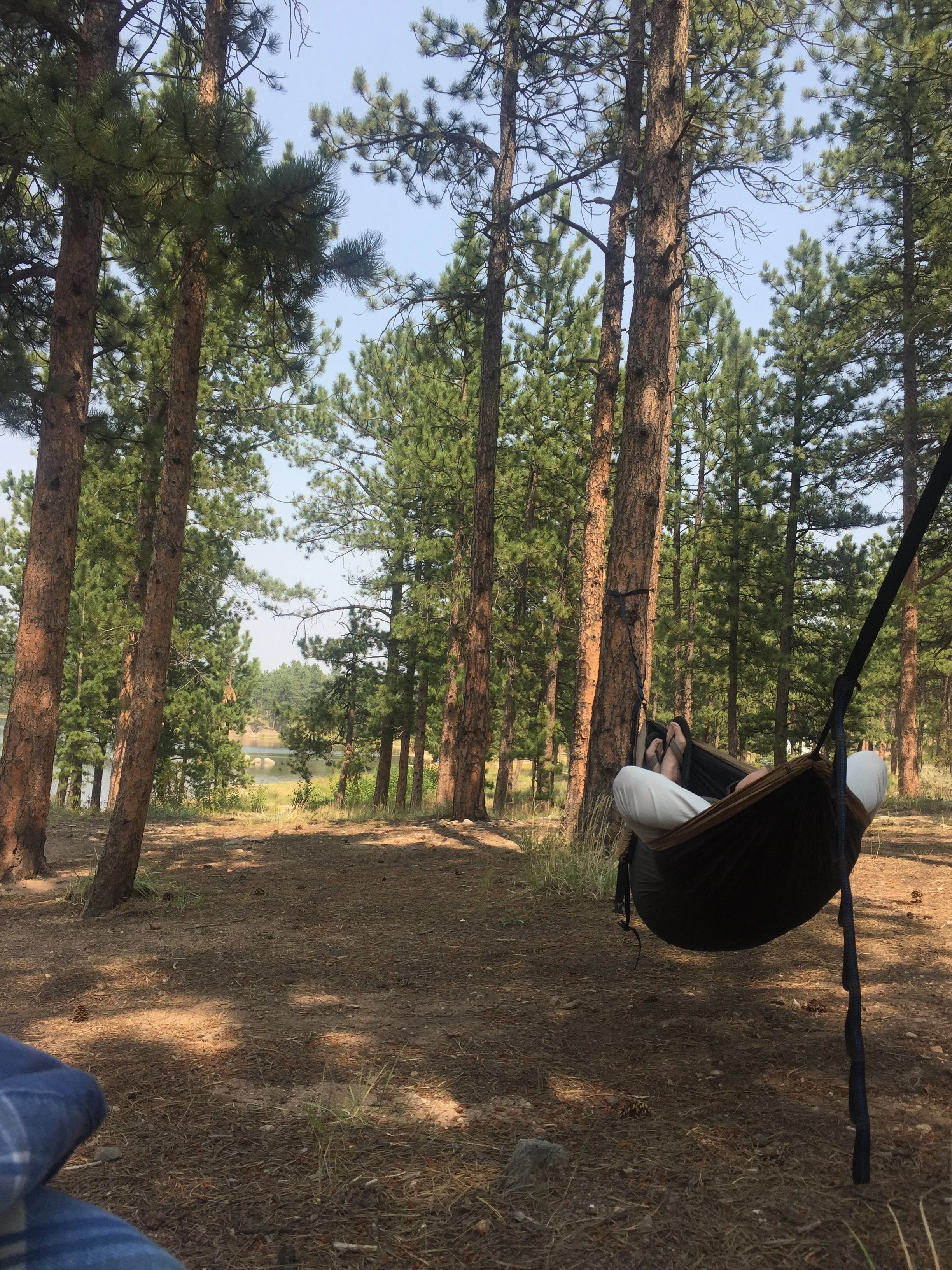 A person relaxing on a hanging hammock in a wooded area with tall pine trees, with visible blue sky and a distant lake in the background.