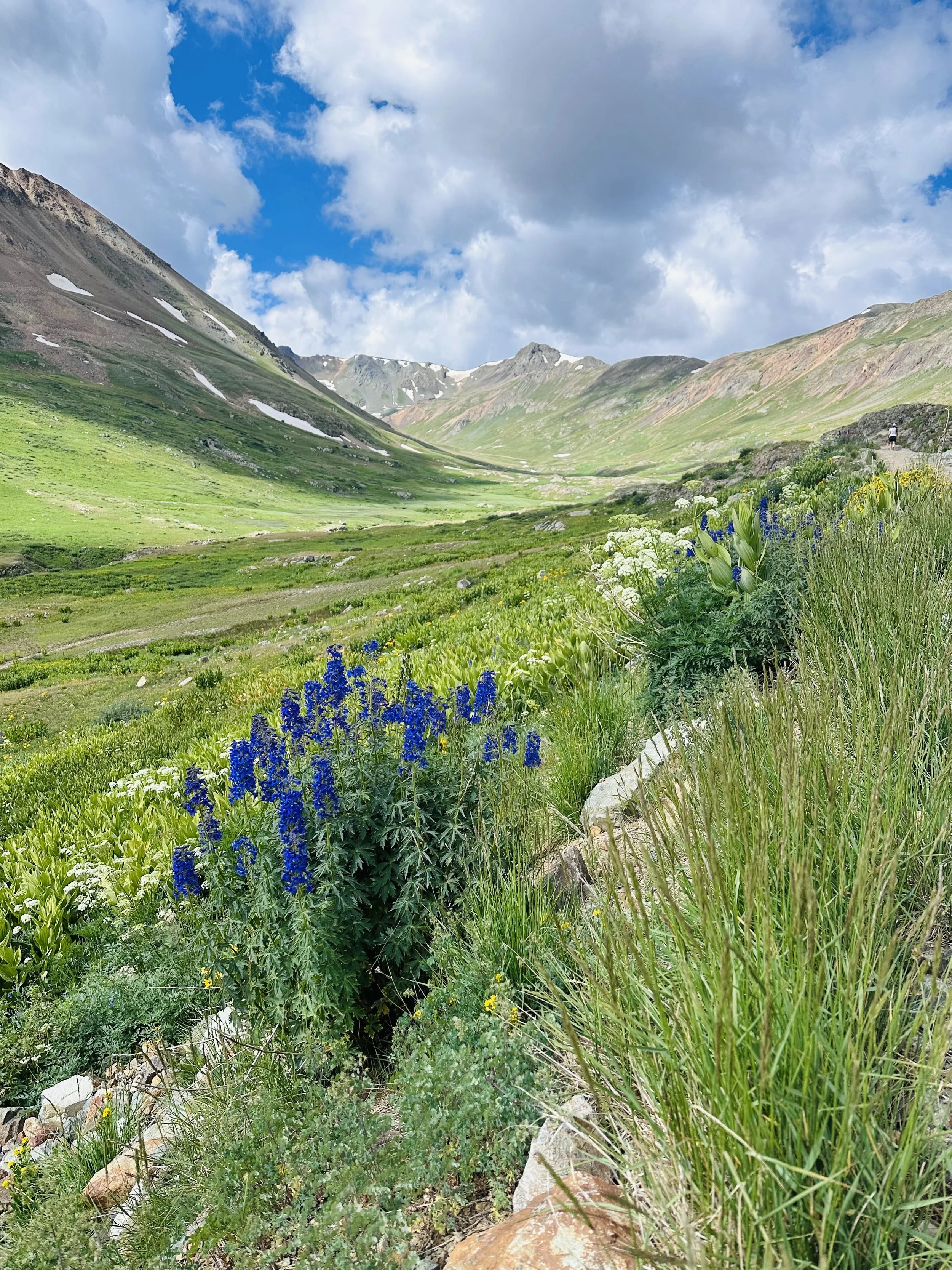 A lush green valley surrounded by mountains, with wildflowers and tall grasses in the foreground and a person hiking on a trail to the right.