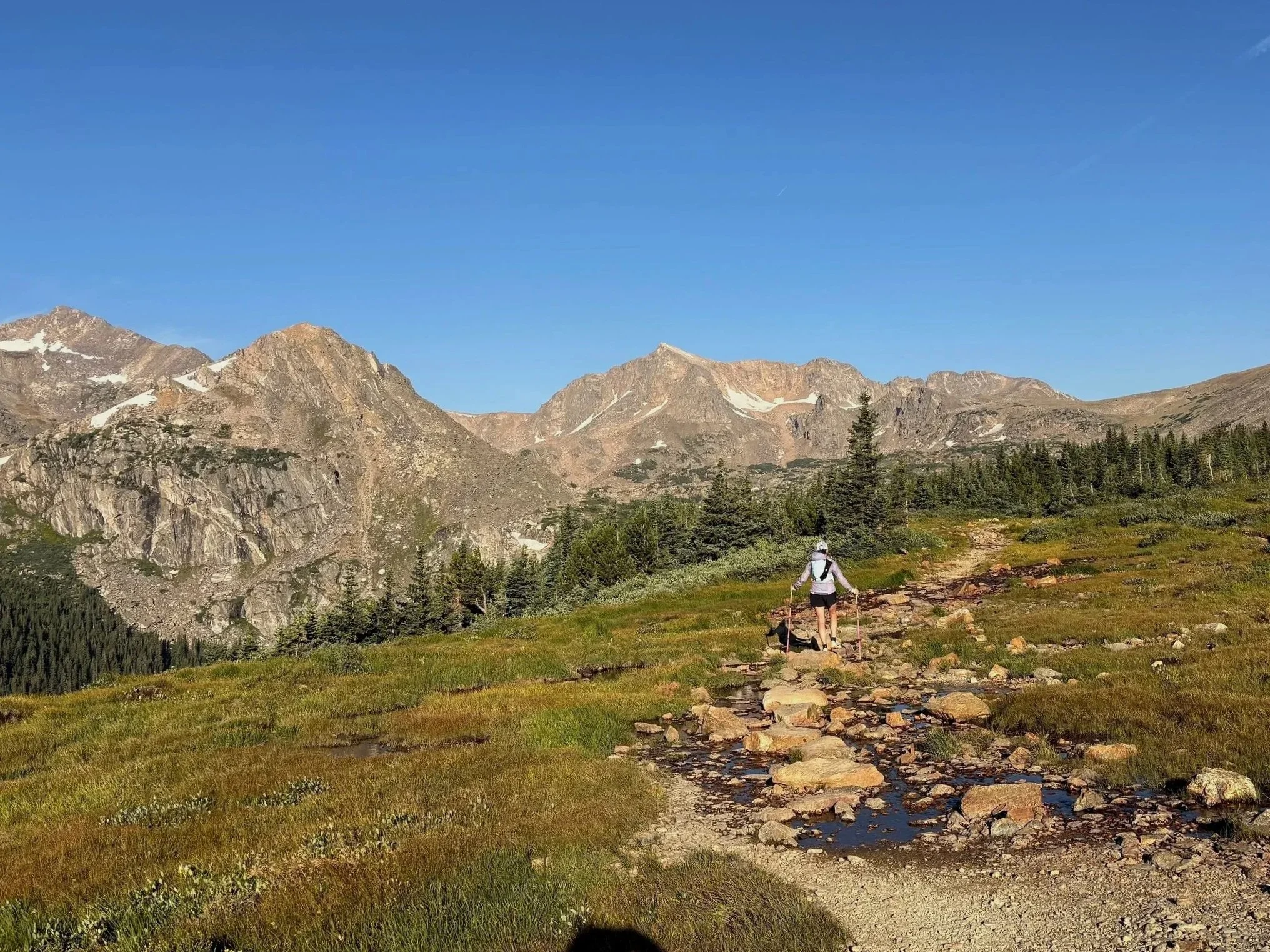 A person hiking on a rocky trail through a grassy field in a mountainous area with trees and snow patches on the peaks under a clear blue sky.
