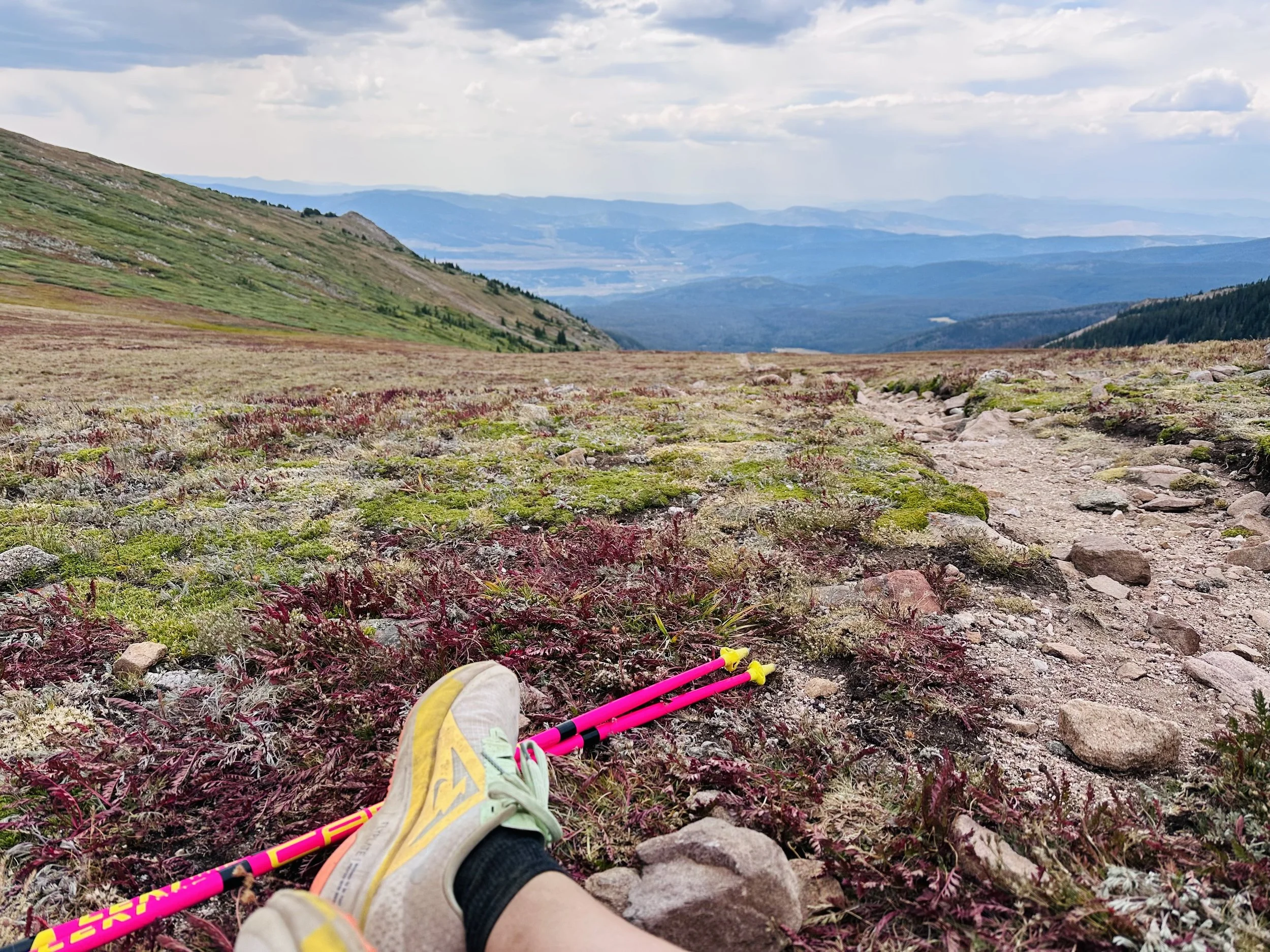 View of a mountain trail with rolling hills in the distance under a partly cloudy sky; a person's legs and feet in trail running shoes and shorts are visible, along with pink trekking poles and colorful ground vegetation.