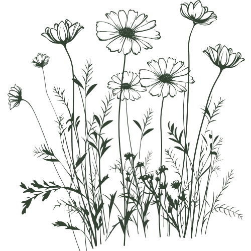 Outline drawing of wildflowers and grass.