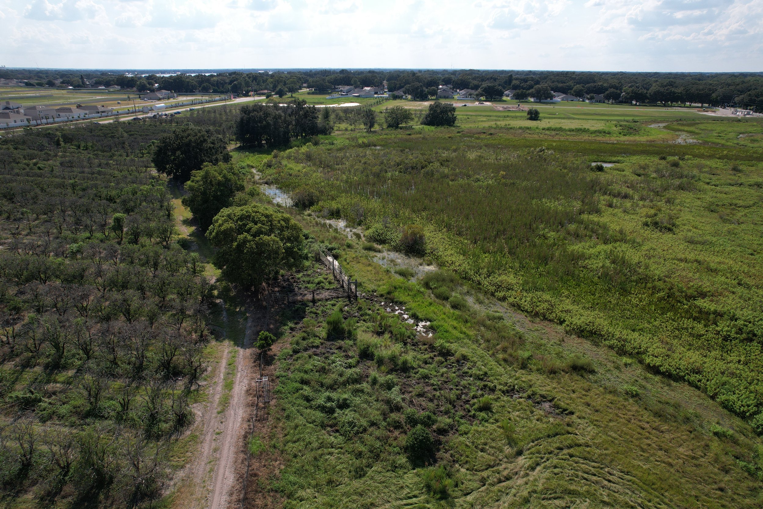 Aerial view of a green wetland area with trees, brush, and a dirt path, neighboring a residential neighborhood with houses, roads, and an open field under a partly cloudy sky.