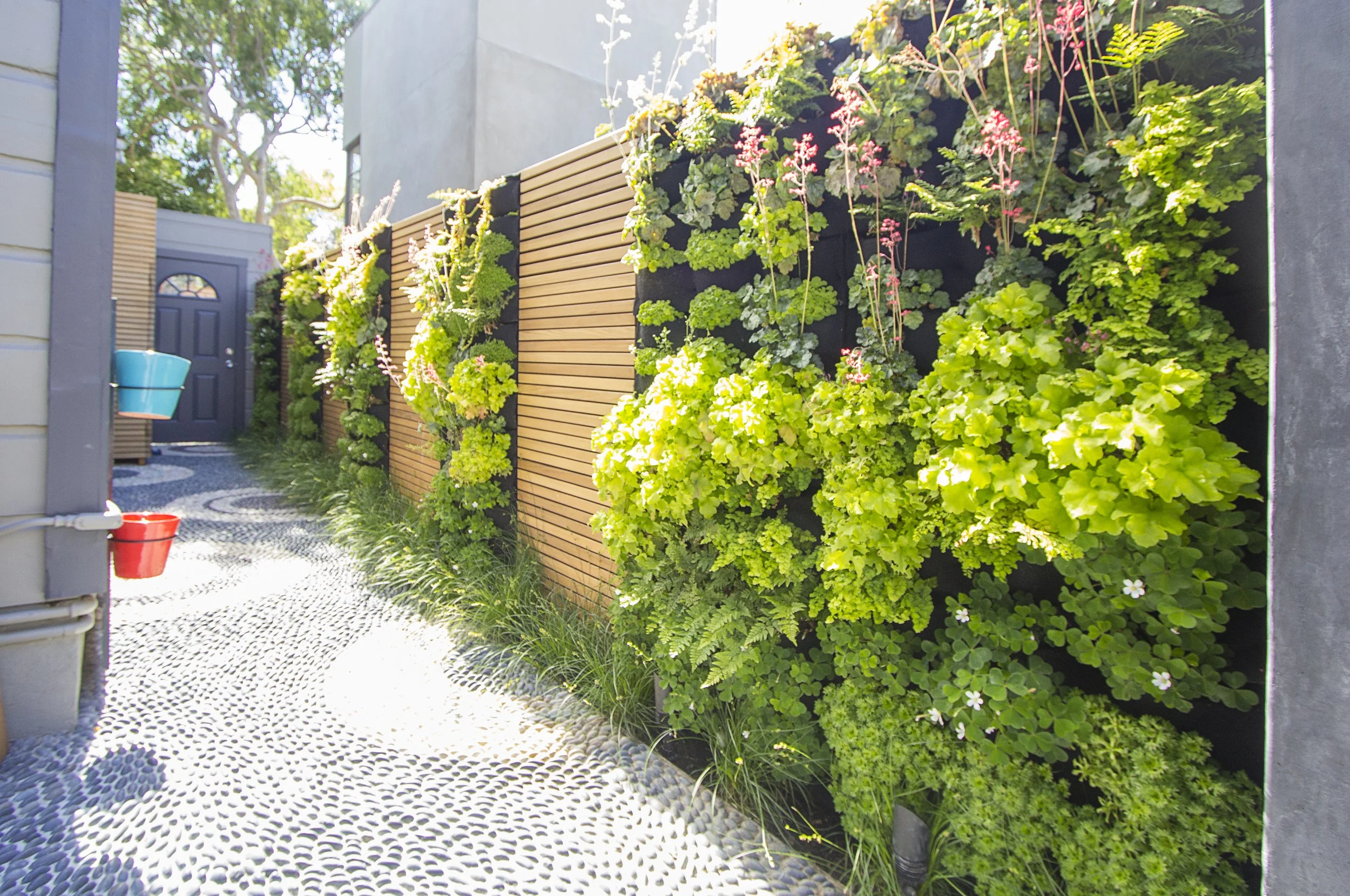 Living Walls 2.jpg