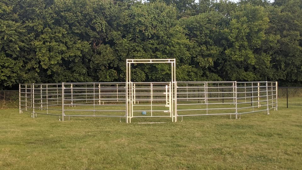 A circular horse pen made of white metal fencing on a grassy field, with a small blue ball inside and trees in the background.