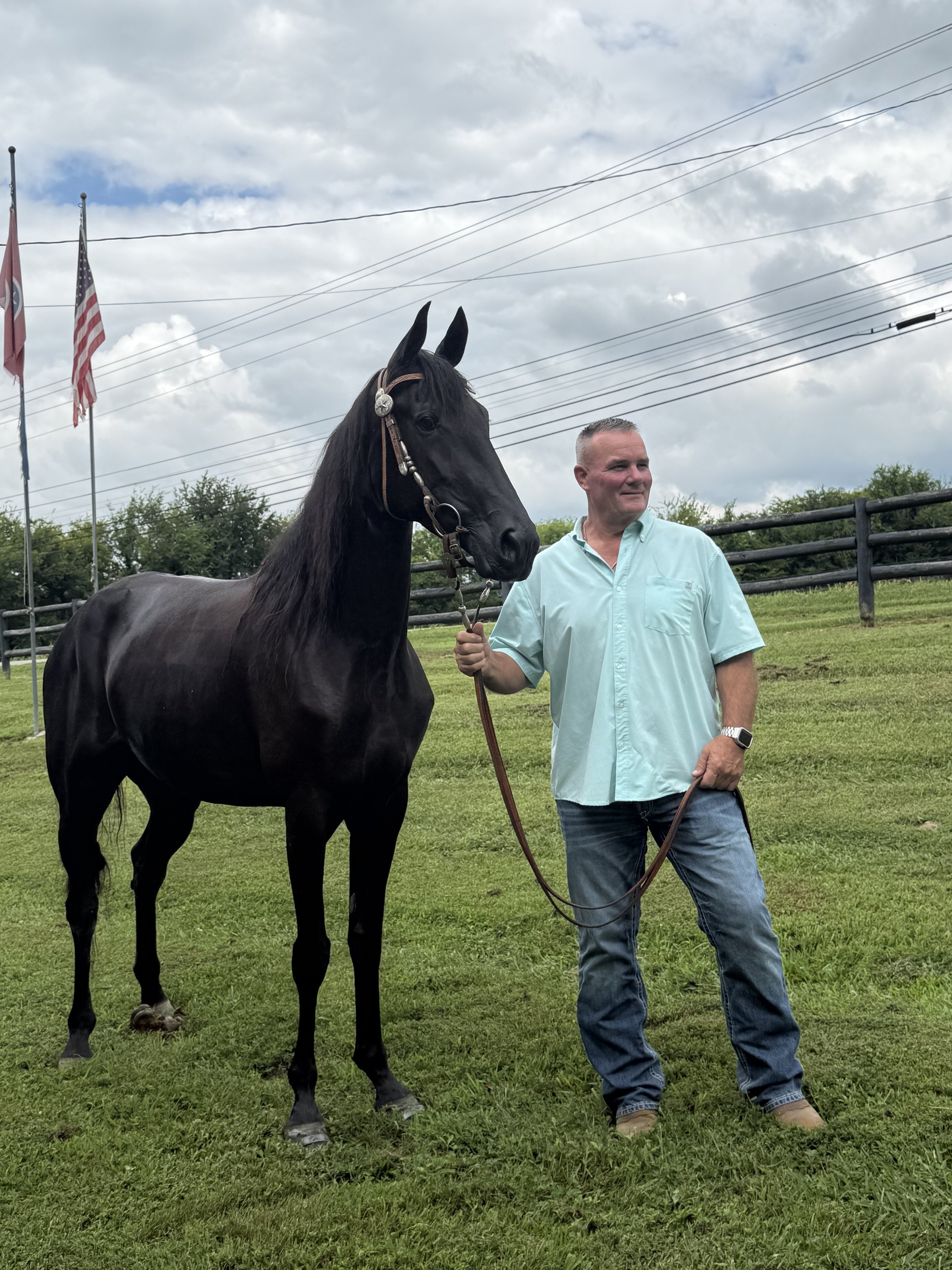 show barn knoxville tn