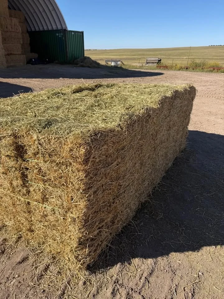 Alfalfa Small Bales 4.jpg