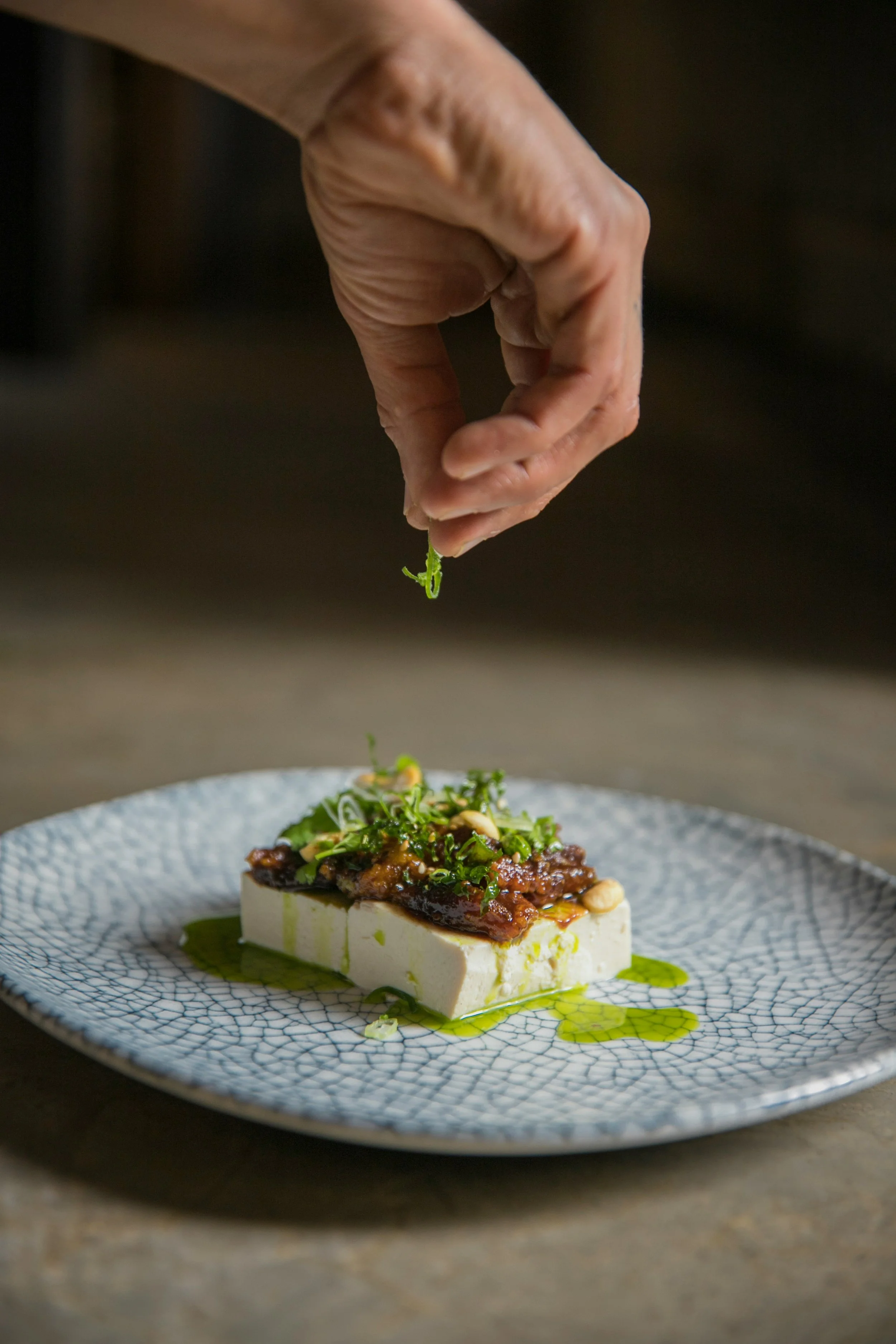 A chef is placing a sprig of green herb on top of a piece of tofu with a dark sauce and garnishes, served on a blue patterned plate.