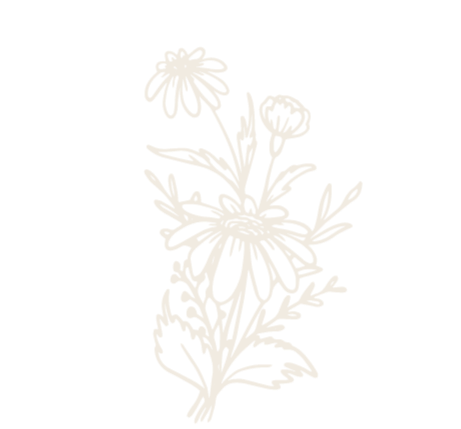 Outline drawing of a flowering plant with multiple blossoms and leaves.