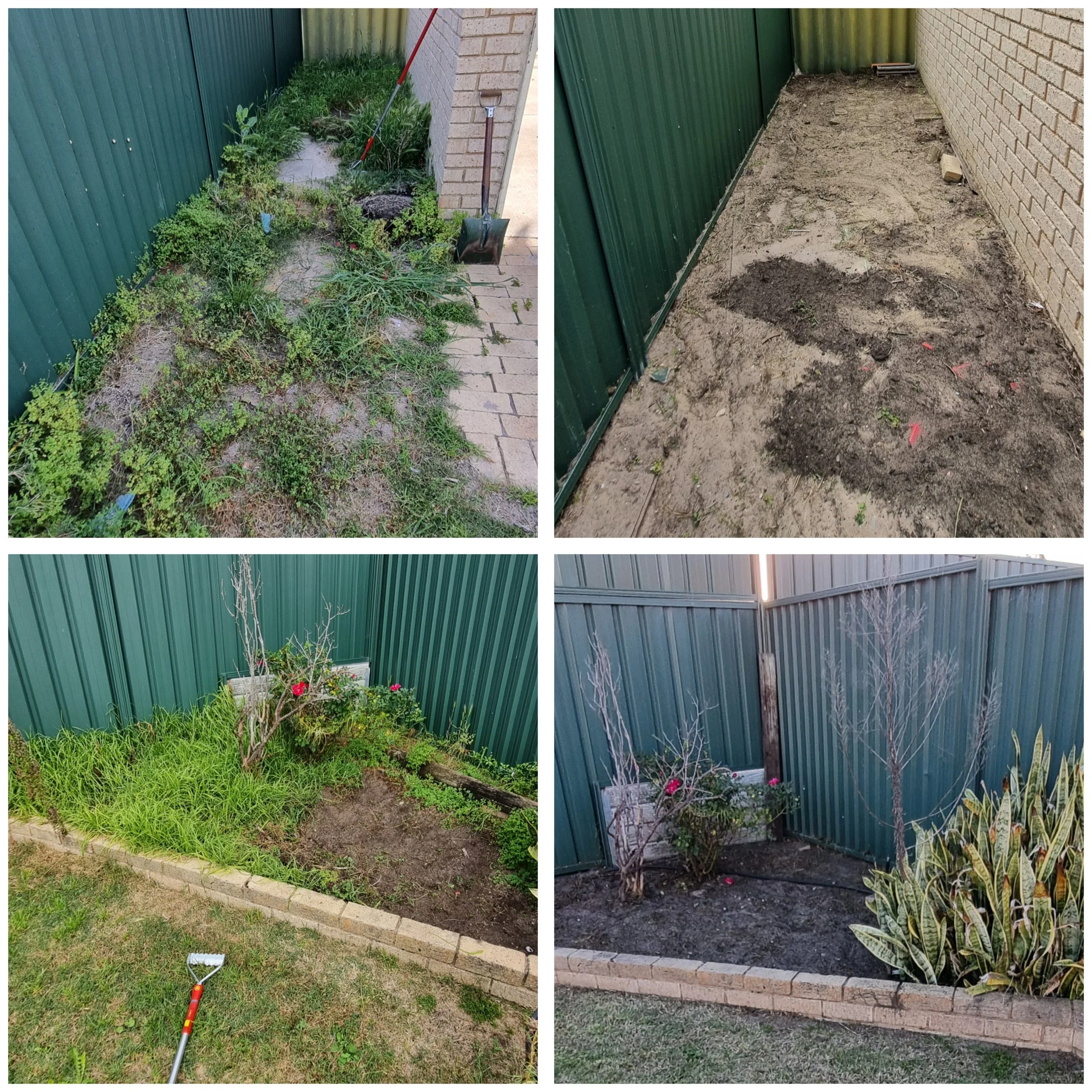 Comparison of a garden bed before and after removal of plants and weeds, showing a neat, cleared area with fresh soil and a brick border.