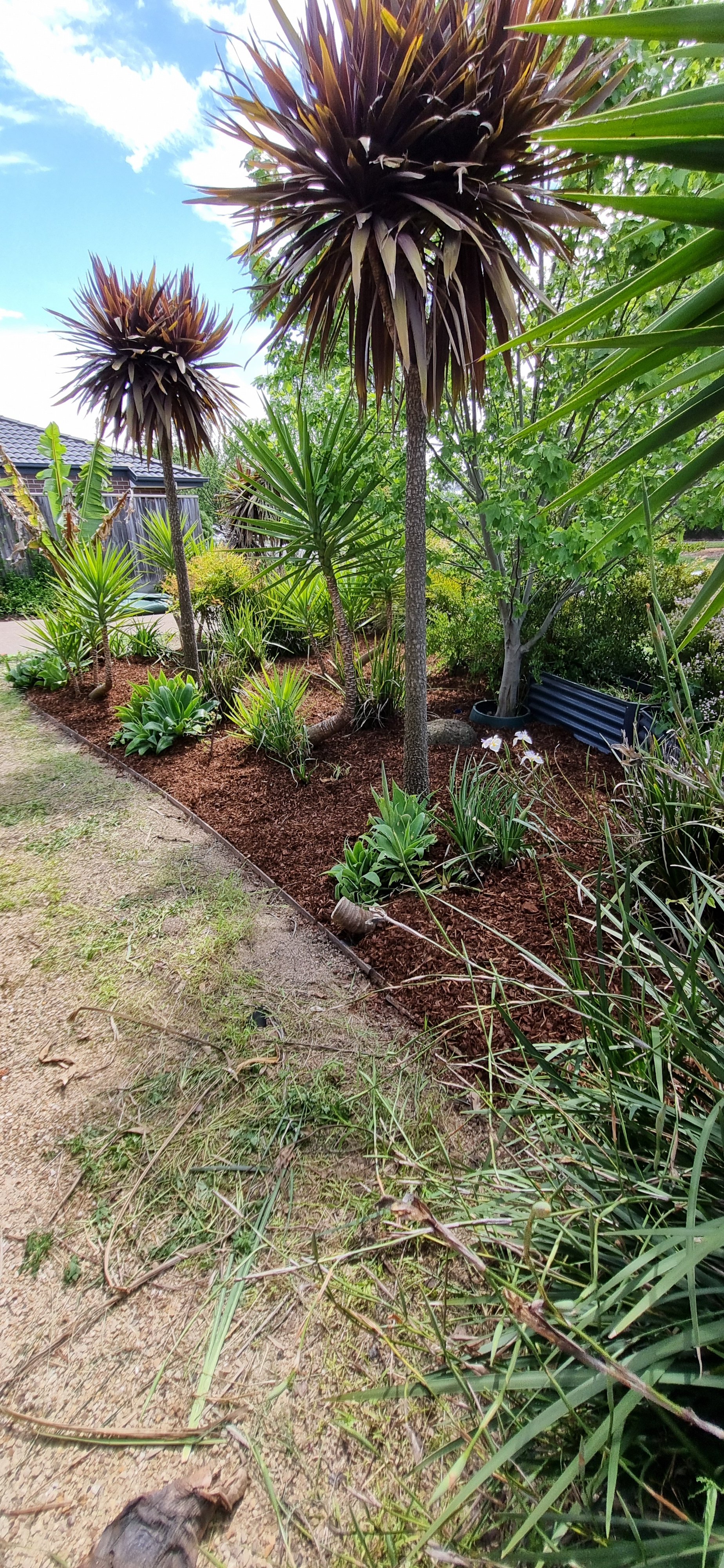 Mulched and finished garden
