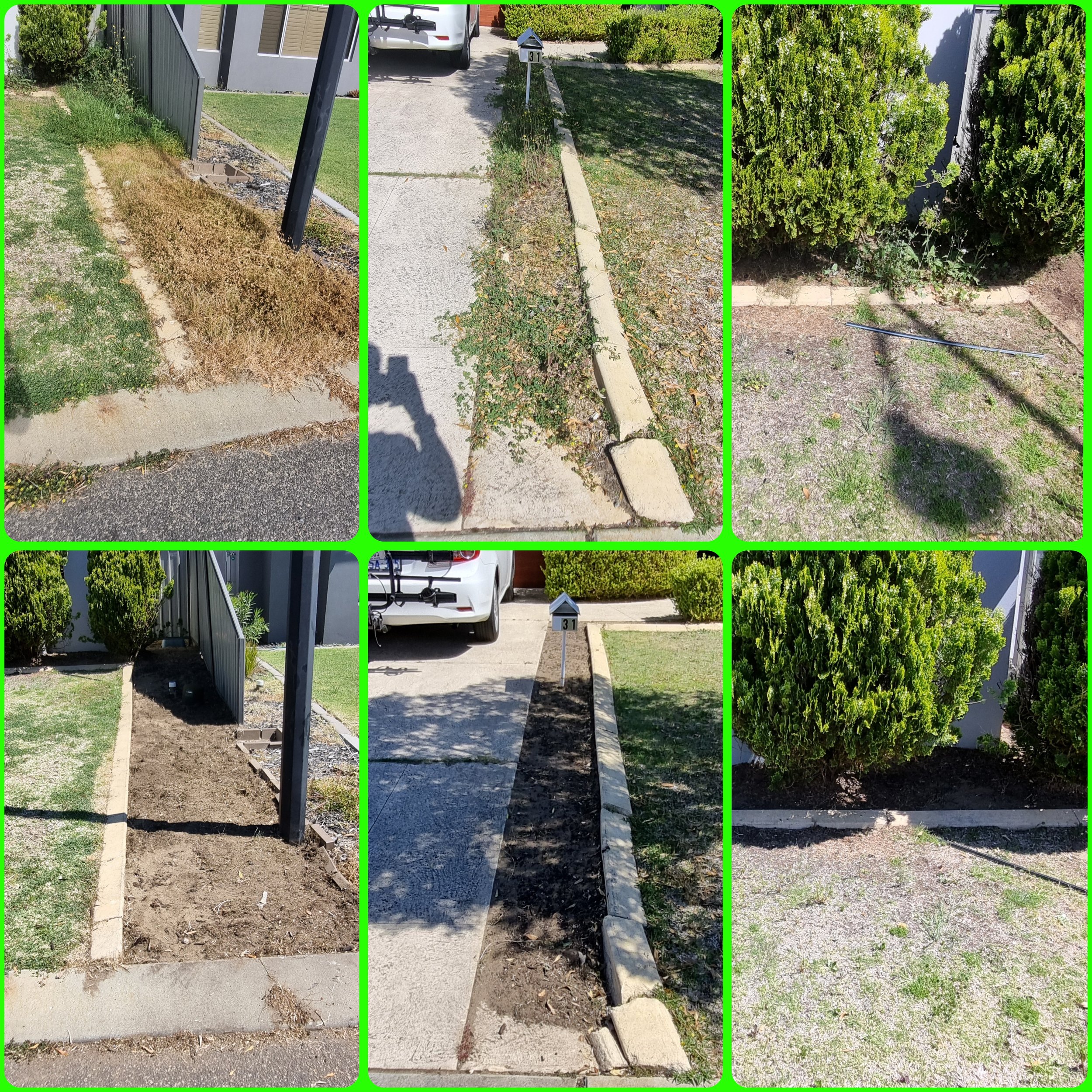 A collage of three images showcasing different stages of yard work: the first image shows a patchy lawn with overgrown grass and waste on the ground, the second image shows a sidewalk with a small bush and a mailbox, and the third image shows a lush, well-maintained bush and a section of neatly mowed yard.