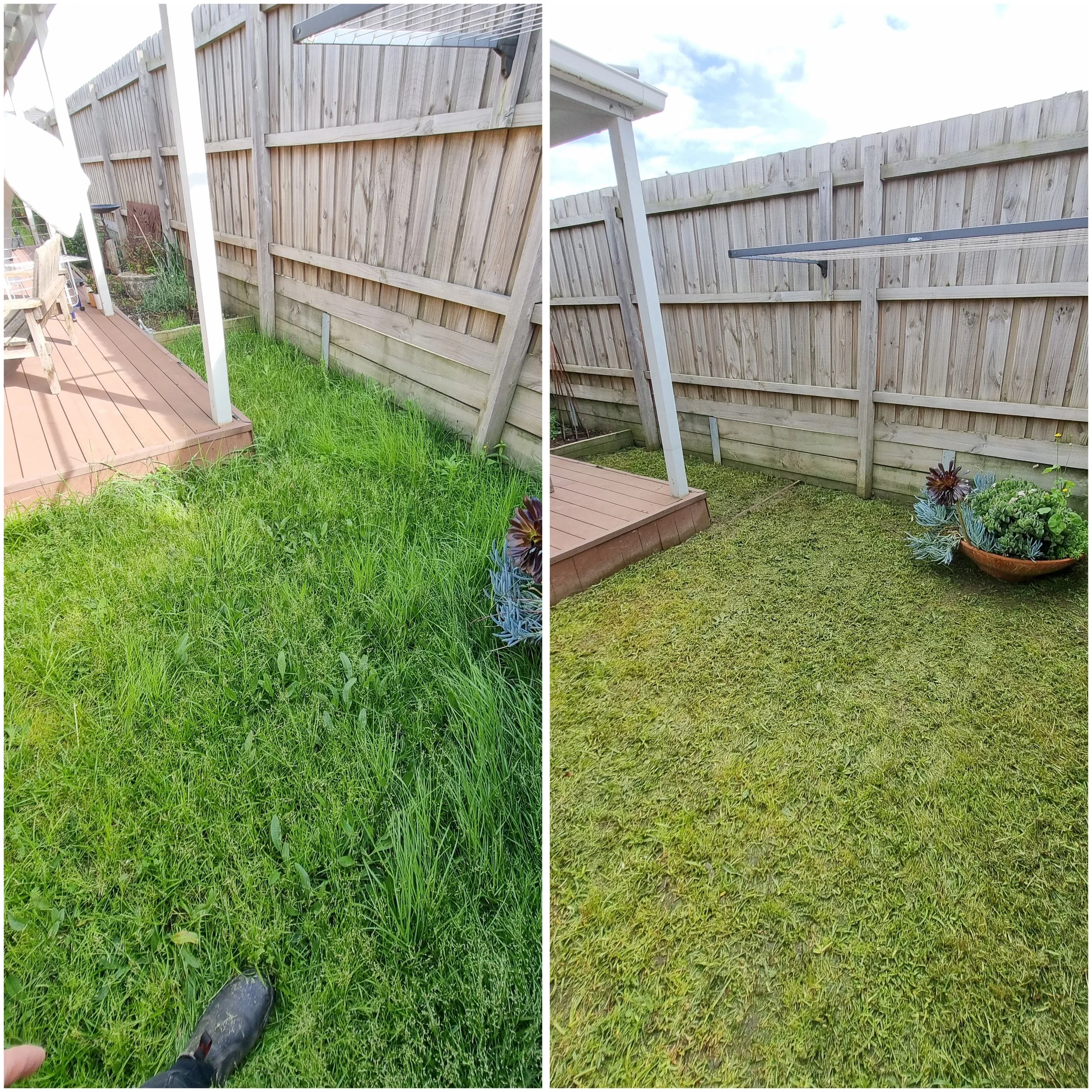 A split image showing a backyard with a wooden fence, a grass area, a small wooden deck, and some potted plants. The left side has a closer view of the grass, deck, and part of the fence, while the right side shows a wider view of the fence and sky.