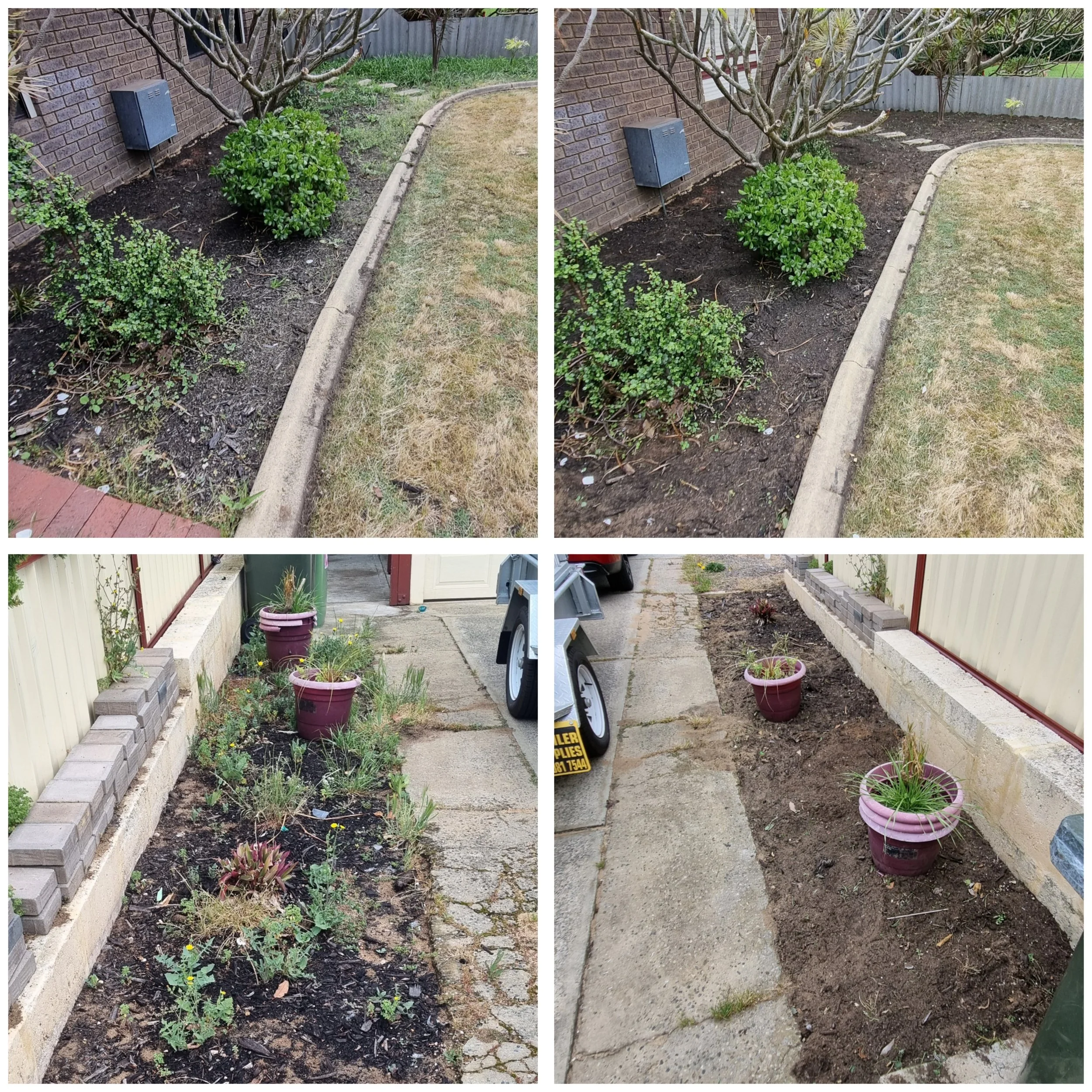 A garden before and after gardening work, showing a flower bed along a brick wall, a pathway, and planters with plants and weeded.