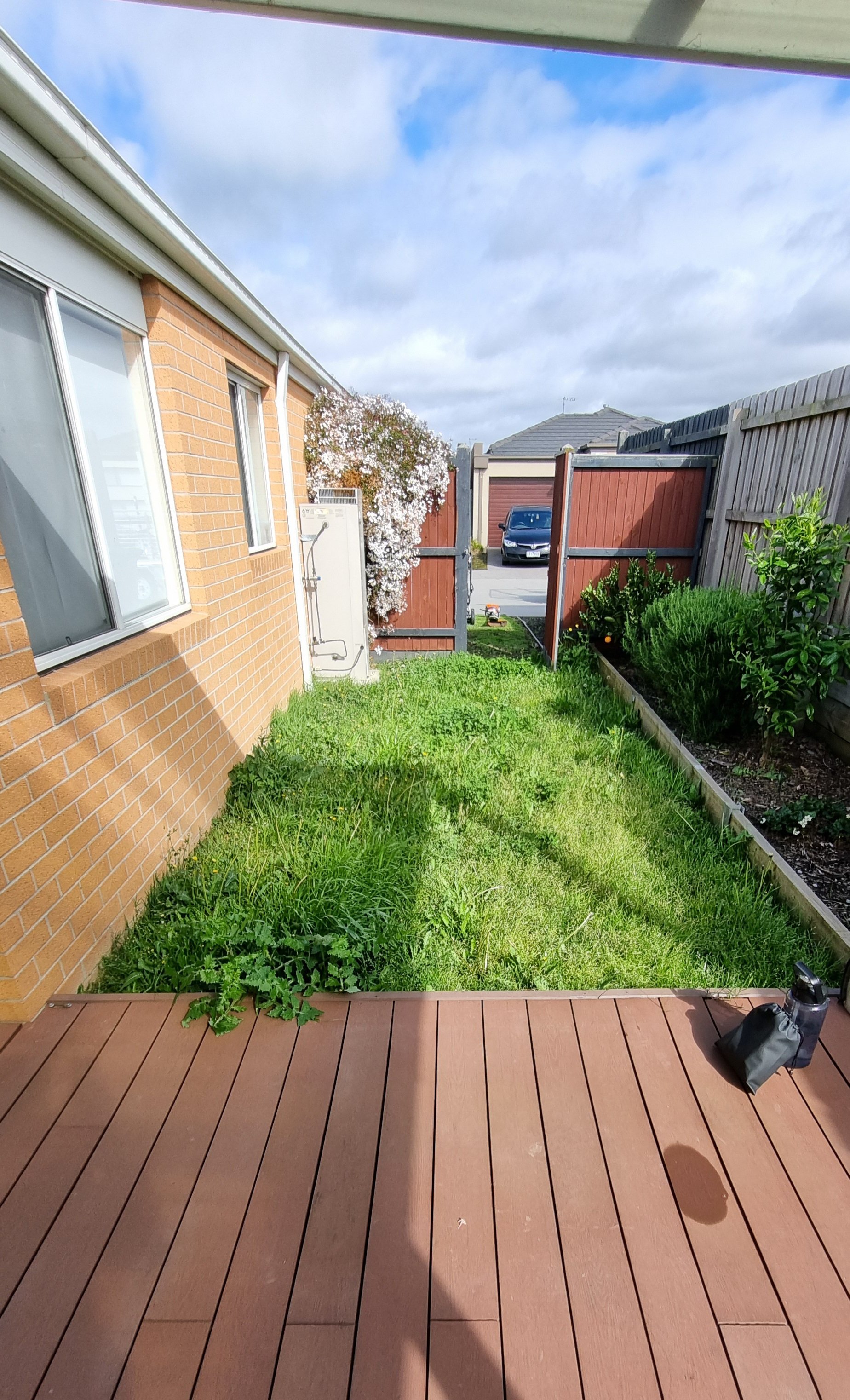 Overgrown Lawn