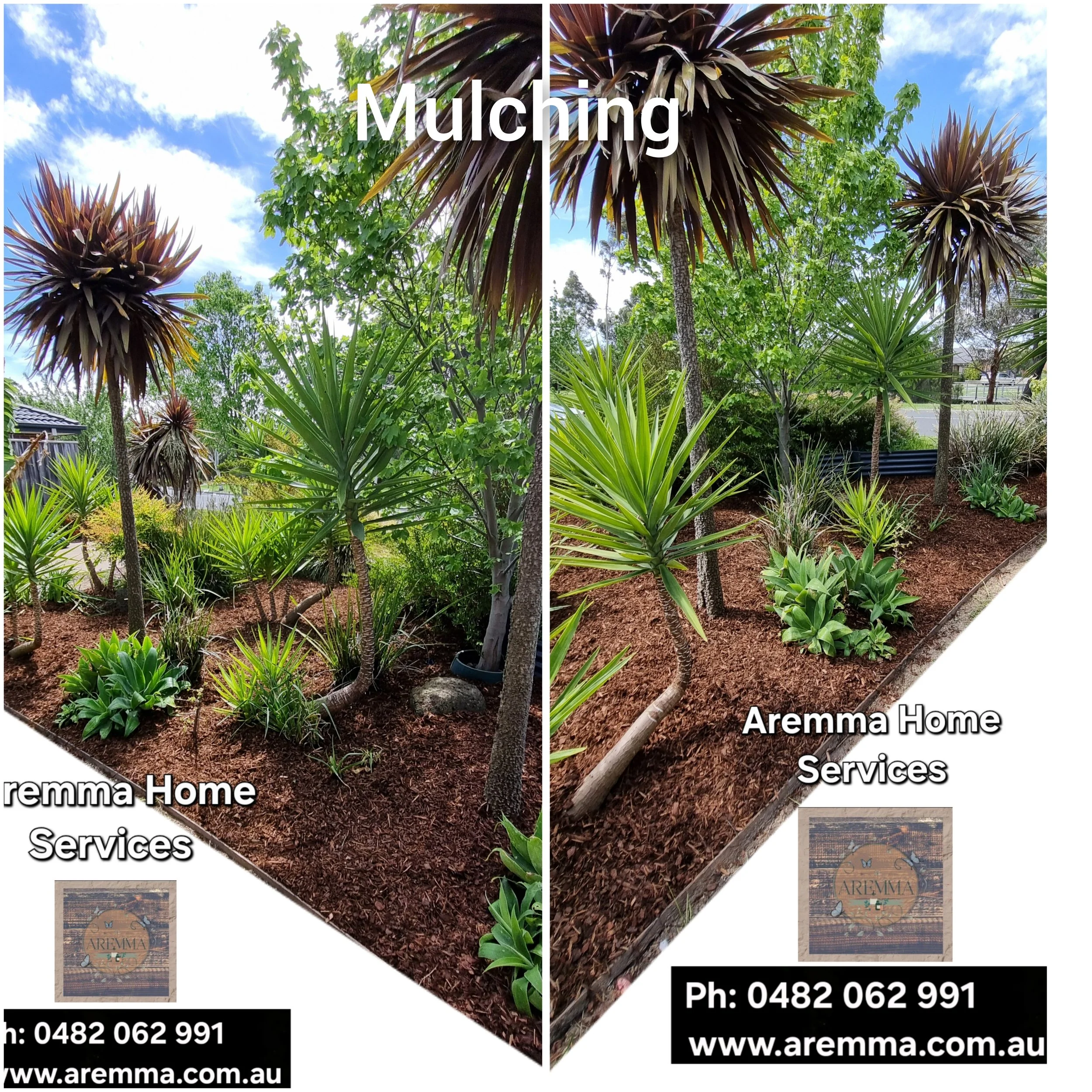 Comparison of soil and plants before and after mulching in a landscaped garden. The left side shows soil with plants and mulch, while the right side shows soil with healthier plants after mulching. A text overlay indicates the service as 'Mulching' by 'Aremma Home Services' with contact details.