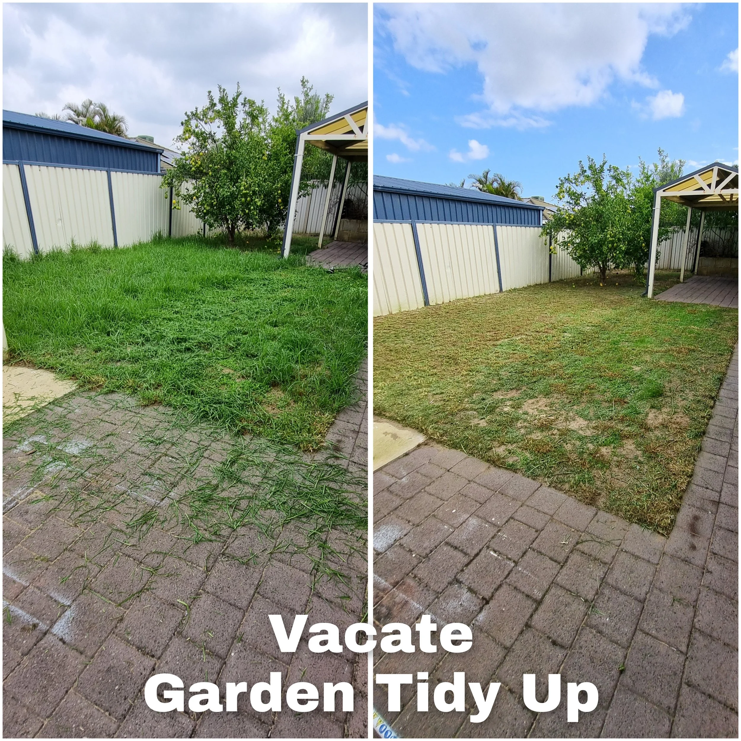 A garden scene with a brick patio, green grass, and a tree with yellow fruit. The image is split into two halves, with the left side showing the before photo and the right side the after photo . The words "Vacate" and "Garden" are the image.