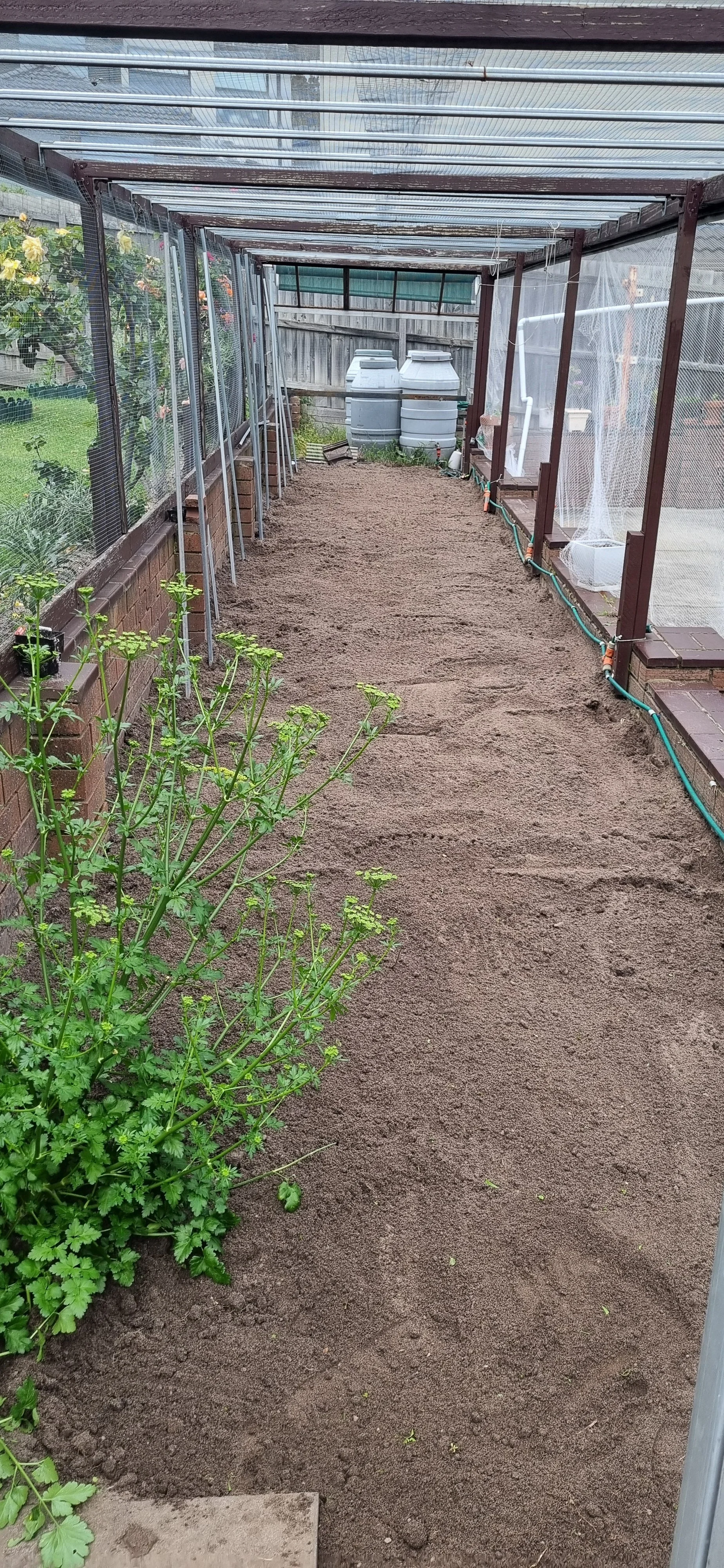 Garden bed weeds removed