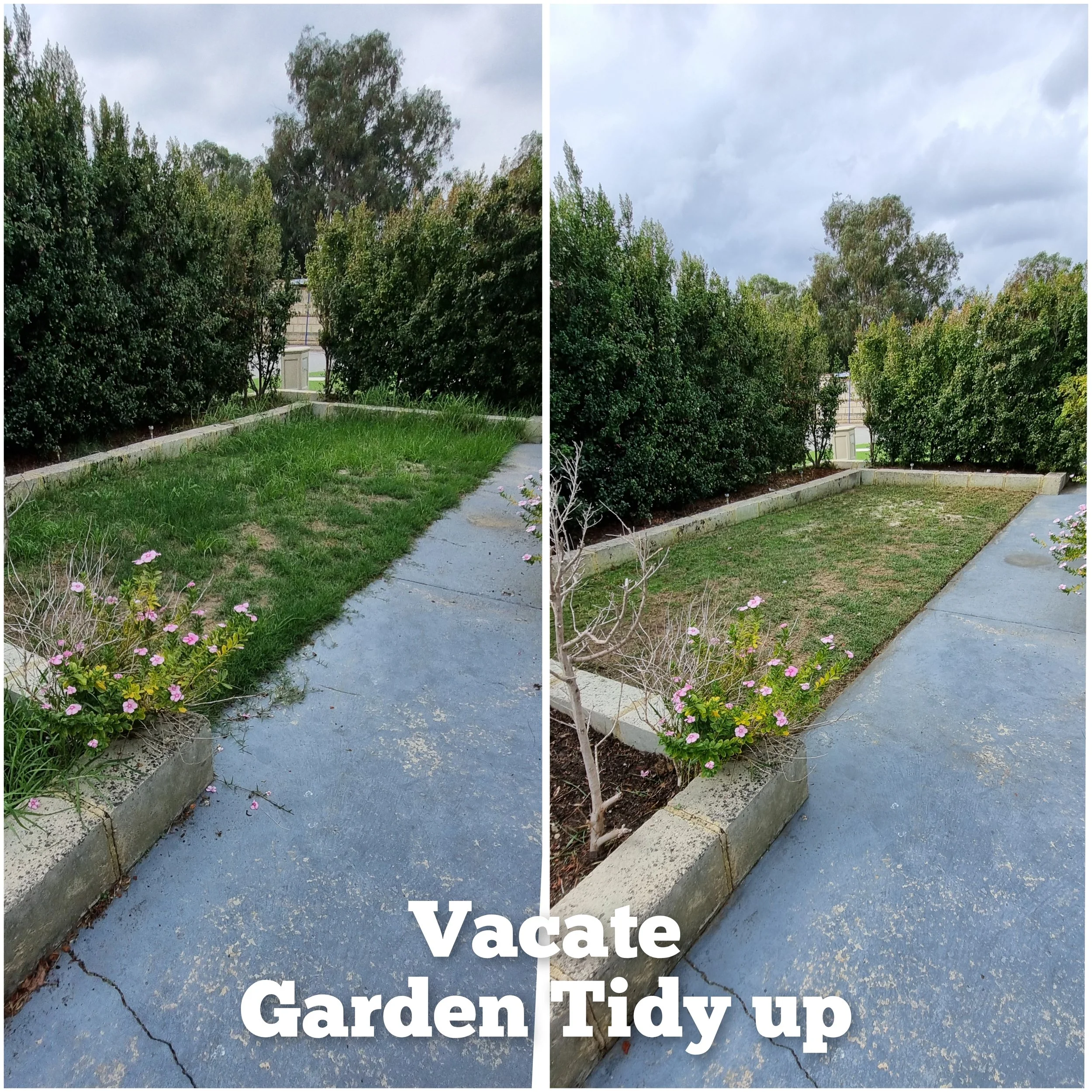 Photo showing a garden with the left side showing the before photo and the right side showing the after photo with large white text overlay that says 'Vacate Garden Tidy up'.