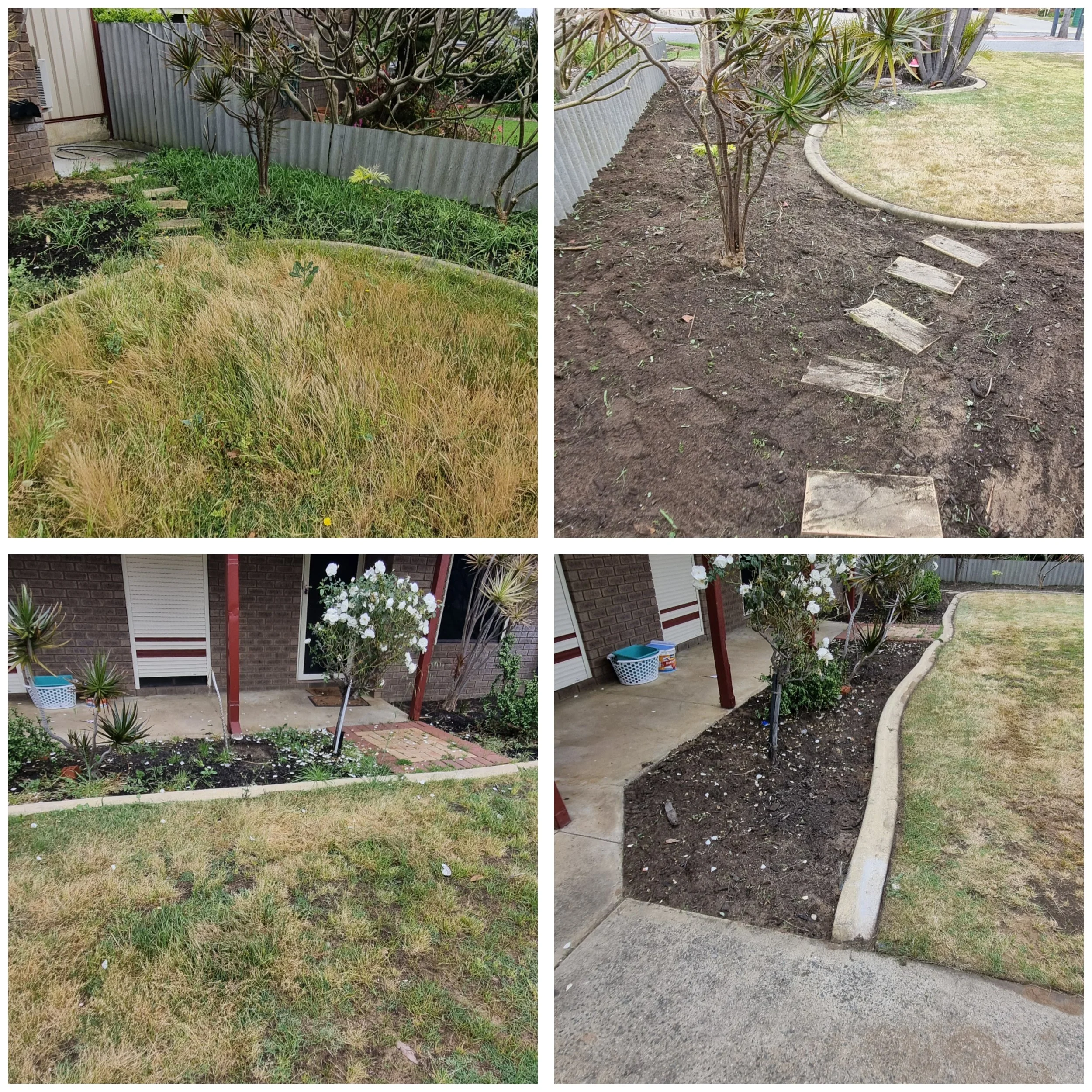Four images showing the progression of a garden bed being prepared and planted. The first image shows overgrown grass and weeds. The second image shows the same area cleared, with visible soil. The third image shows two small trees planted in the soil, with a brick pathway nearby. The fourth image shows the project nearly finished, with flowers, a concrete border, and the area looking more landscaped.