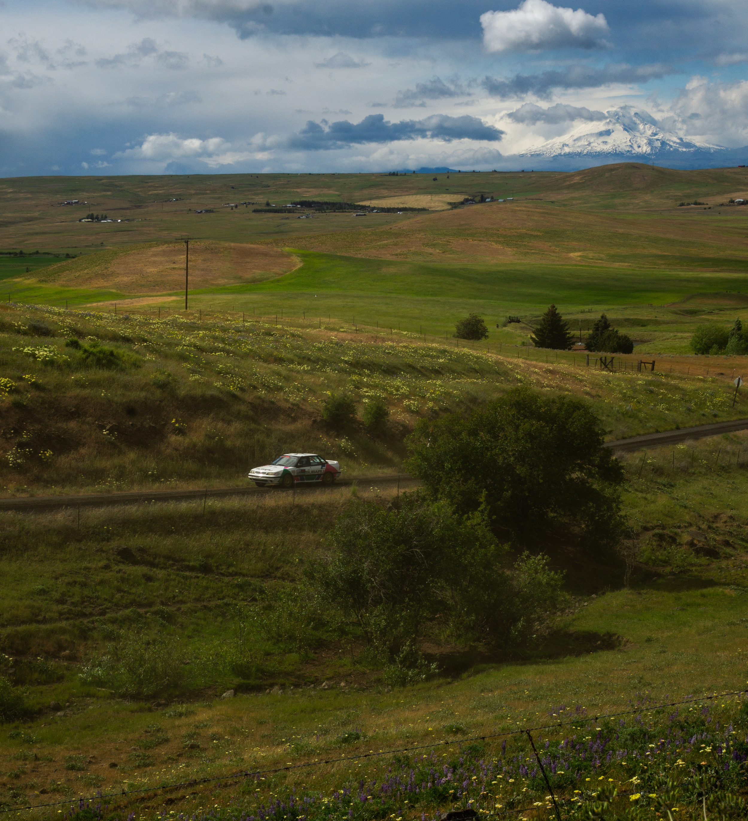 A landscape of rolling green hills with wildflowers, a mountain with snow on top in the background, and a car driving on a dirt road, under a cloudy sky.