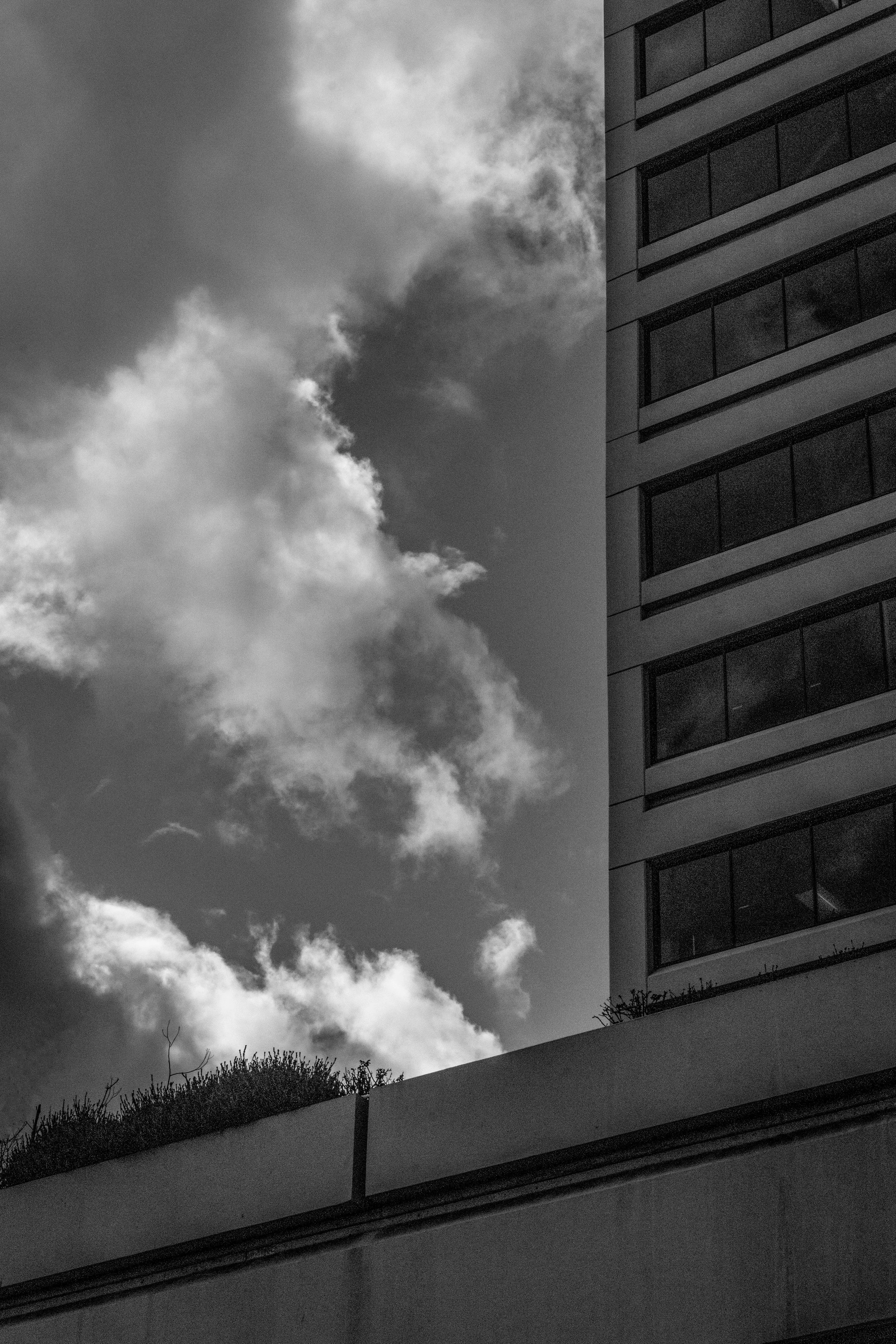 Black and white photo of a building with multiple floors and large windows on the right side, partly shadowed, with a cloudy sky in the background and some trees or shrubs at the bottom.