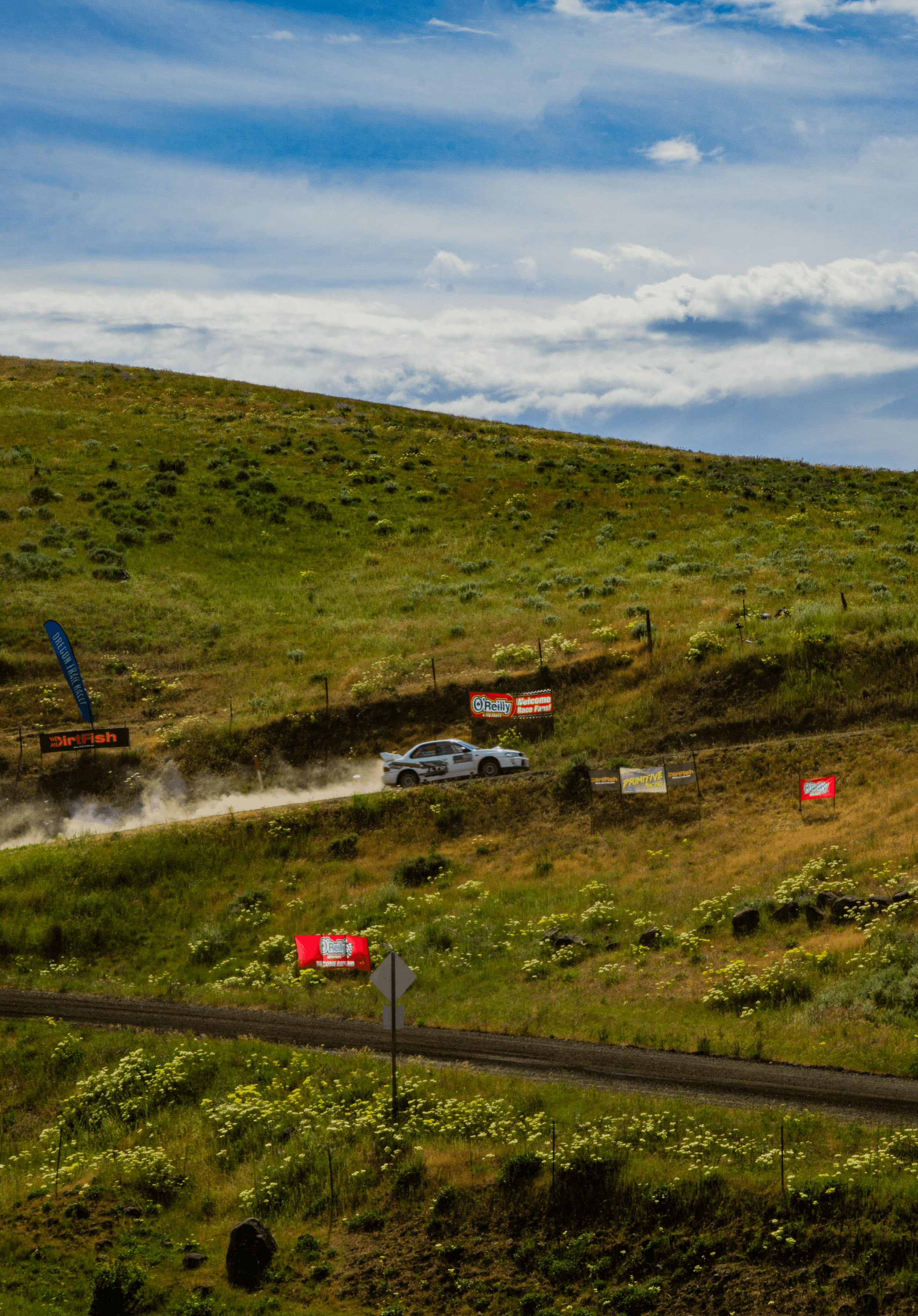 A rally car driving on a dirt road through a grassy hillside with advertising banners and a partly cloudy sky.