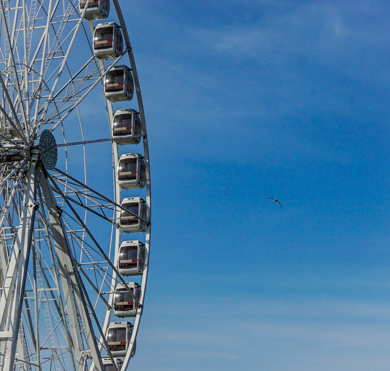 A large Ferris wheel with enclosed gondolas, set against a bright blue sky with a single bird flying nearby.