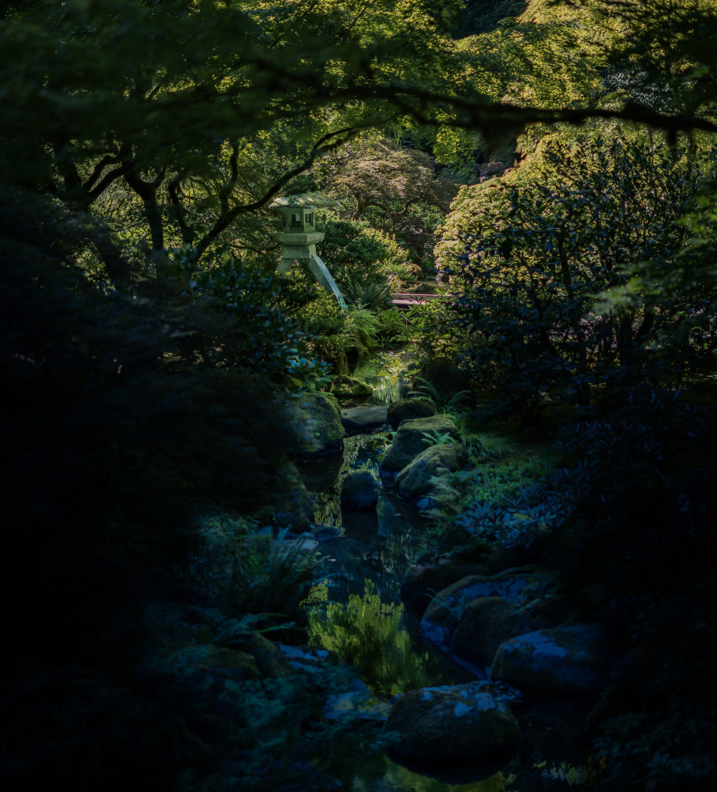 testest (56 of 1).jpg