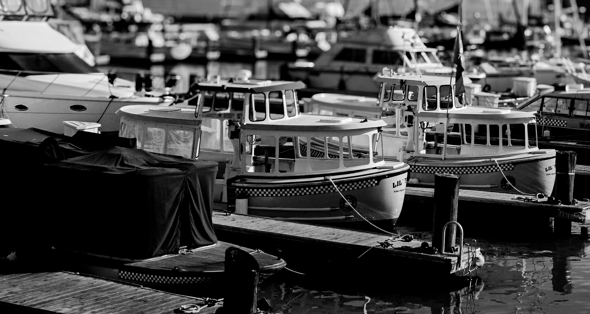 Several boats docked at a marina, some covered with tarps, in a black and white photograph.