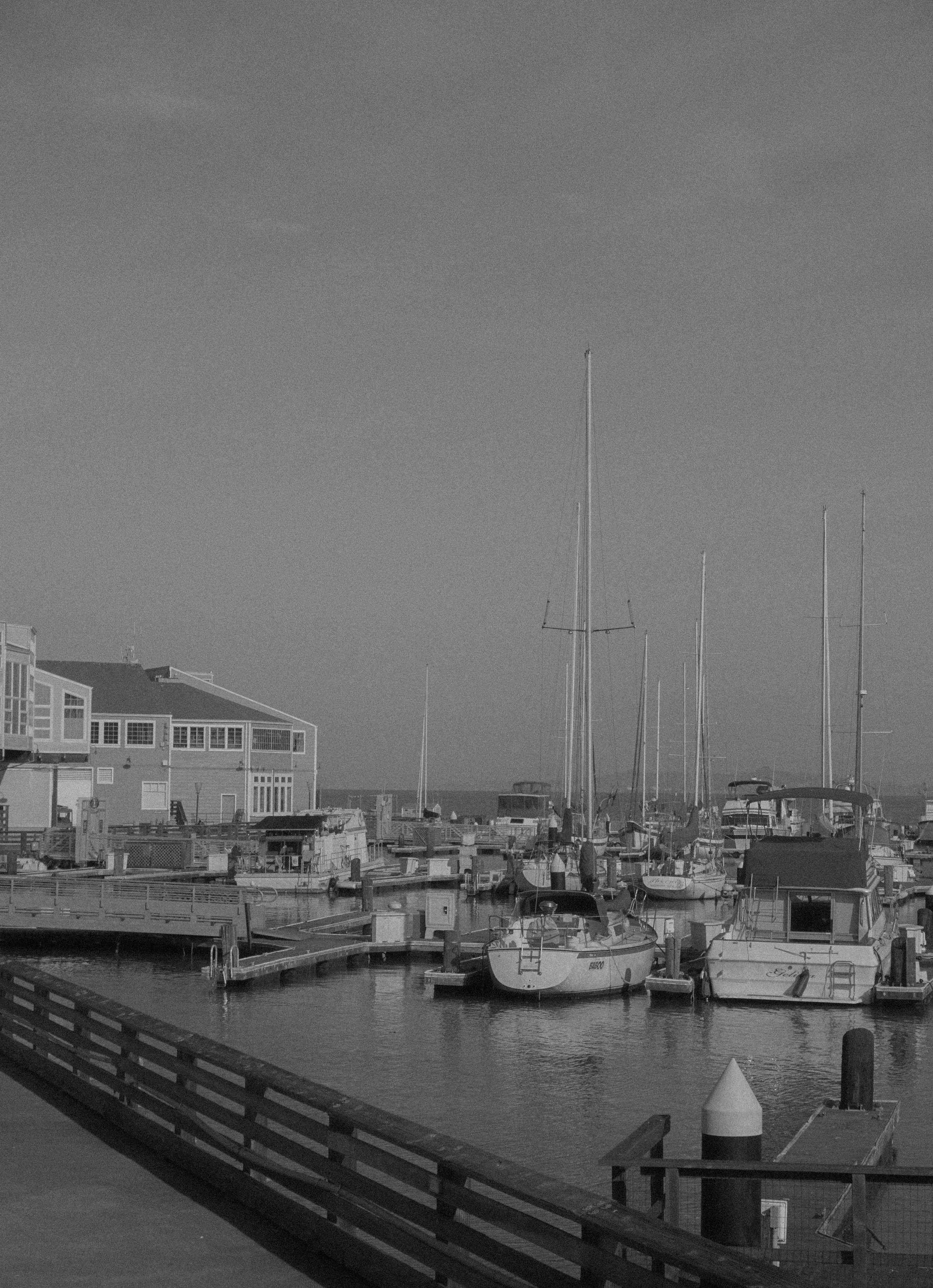 A marina with boats docked, several masts, a building with large windows, a pier, and a wooden fence along the water under a clear sky.