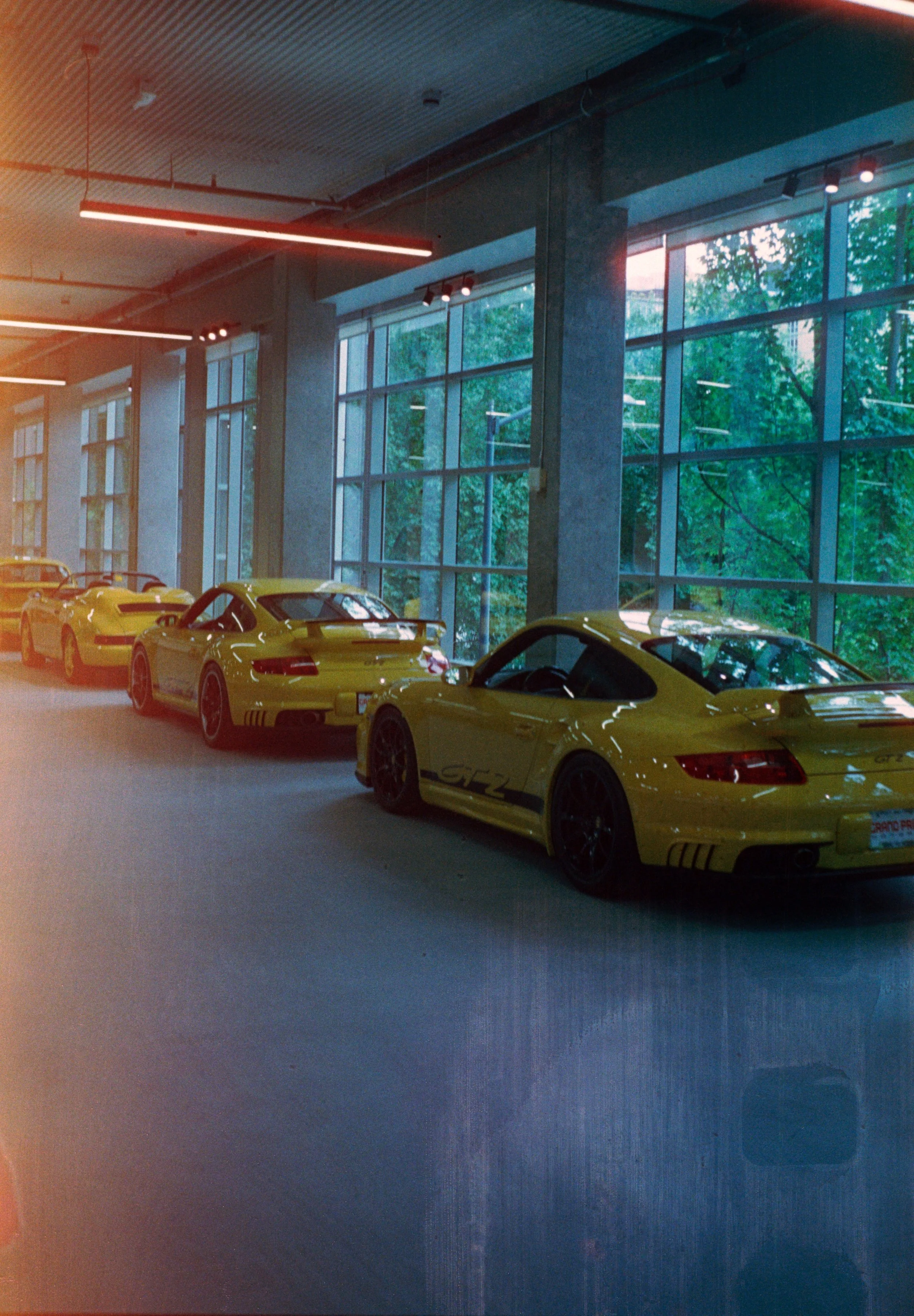 Several yellow sports cars are displayed inside a modern showroom with large glass windows and green trees outside.