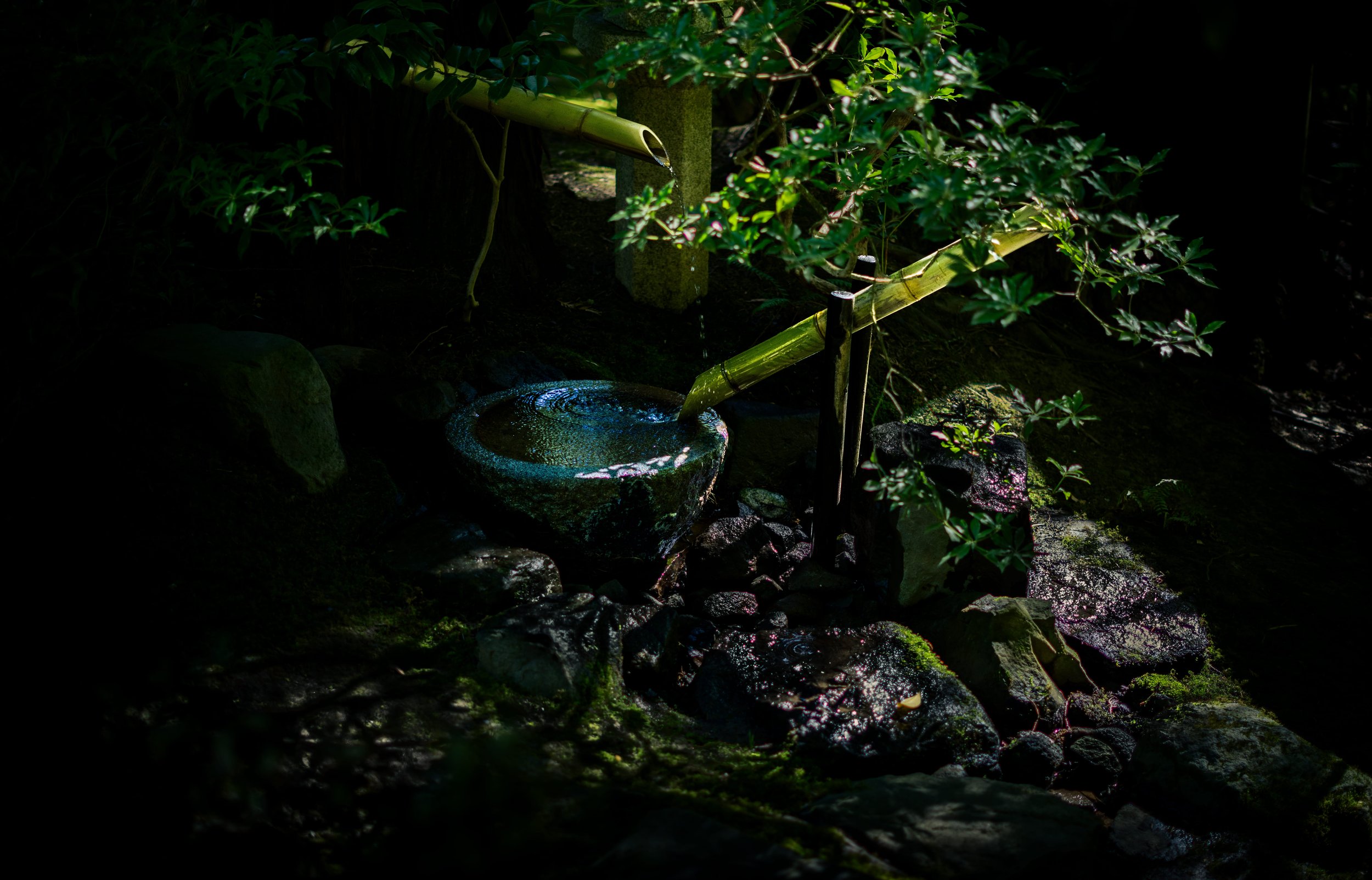 testest (46 of 1).jpg