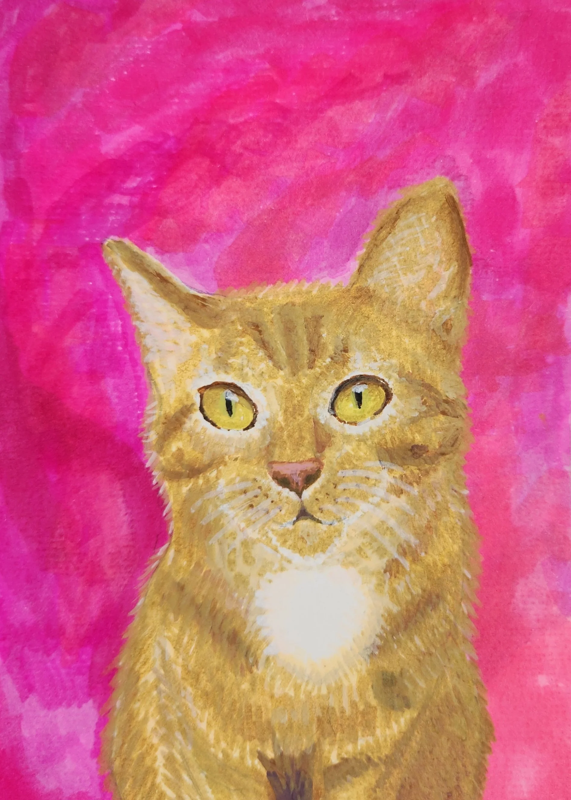 AFFORDABLE PET PORTRAIT